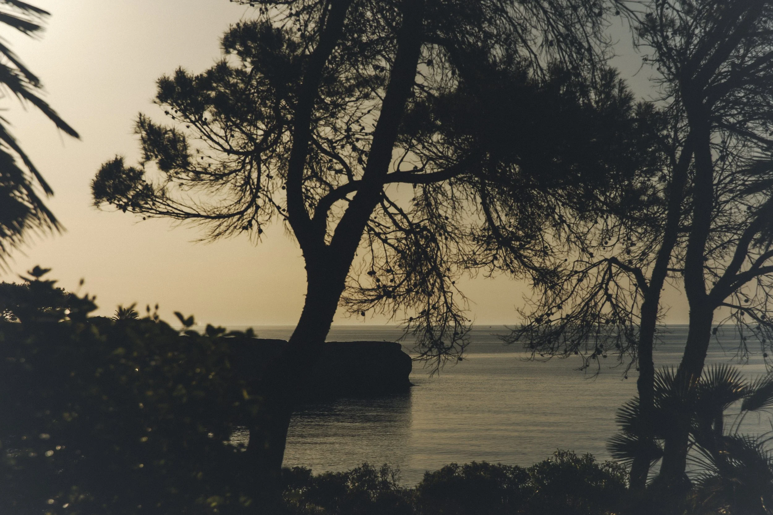 Carmel Walsh / Guglielmo Profeti / Balthazar Klarwein / Alexandra Borras / Athos Productions / Mallorca Photo and Film Productions