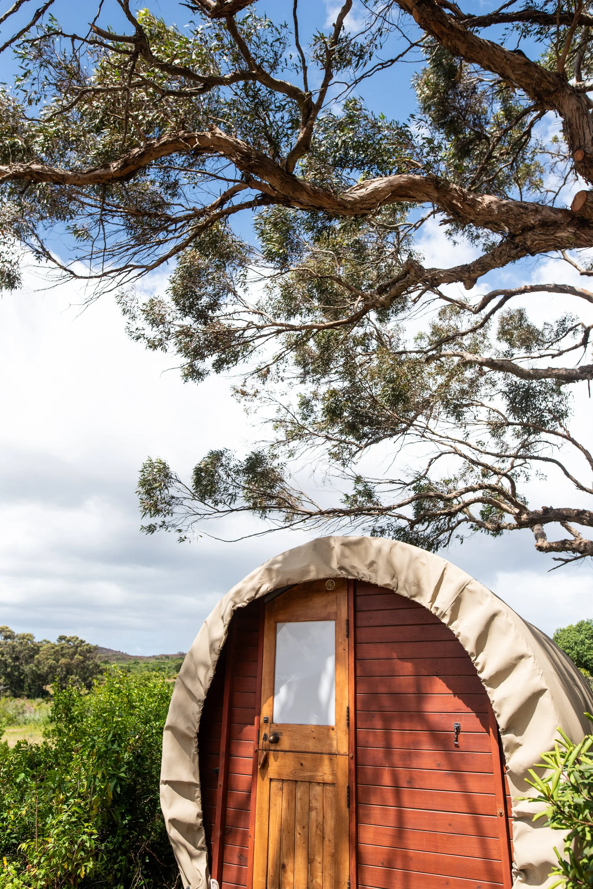 Bodhi Forest_251101_0257.jpg