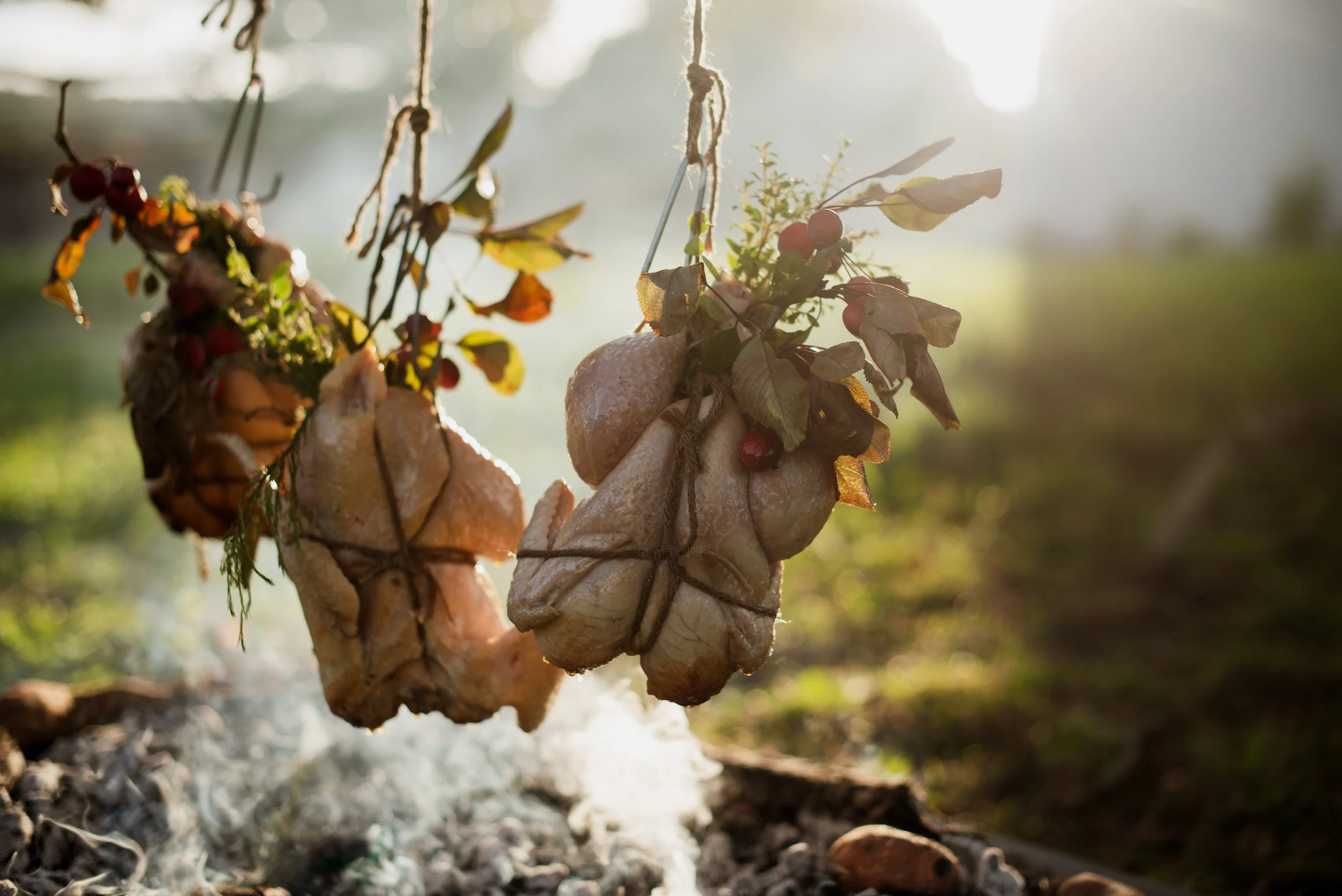 Bodhi Forest-0857.jpg