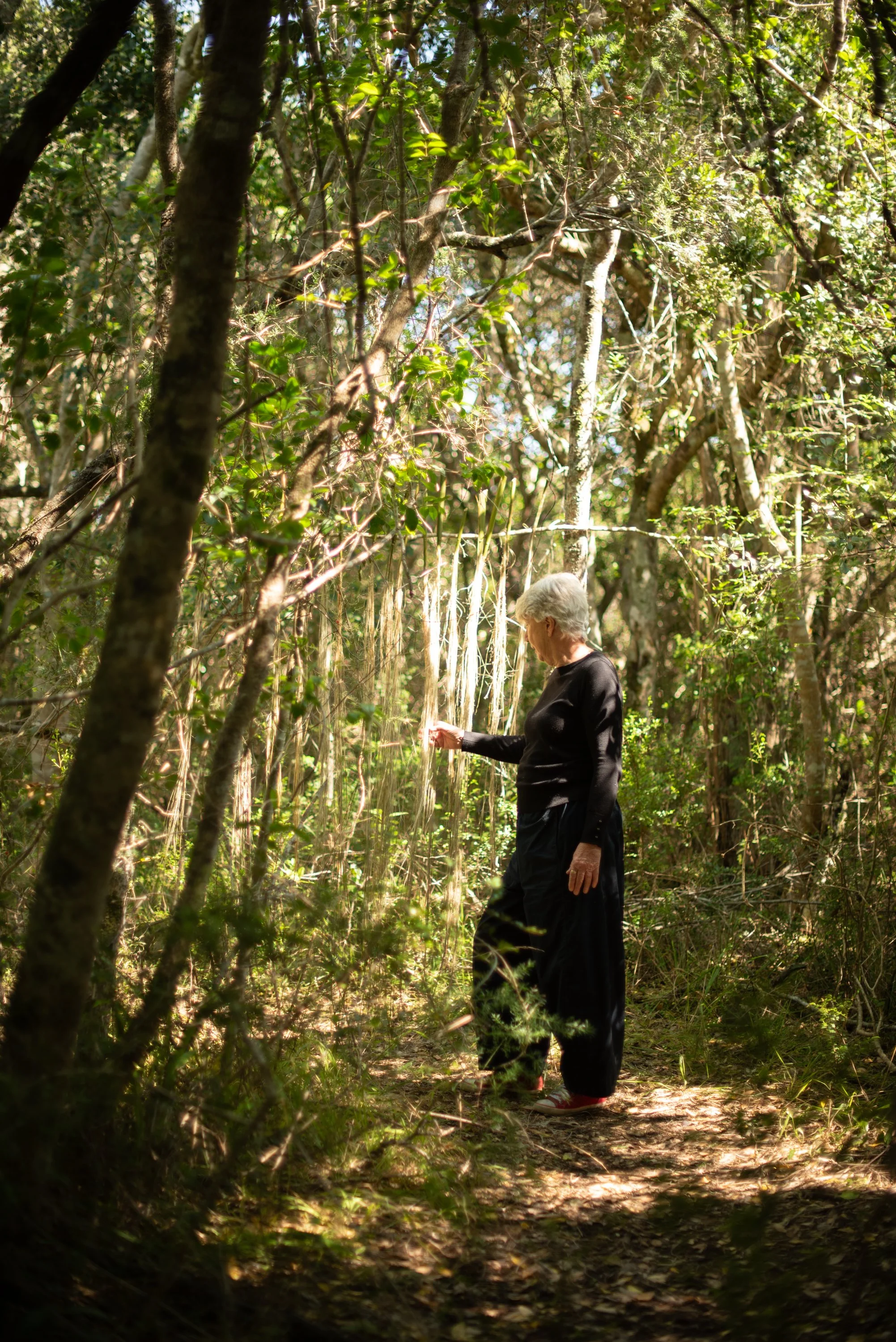 Bodhi Artists_251023_0015.jpg