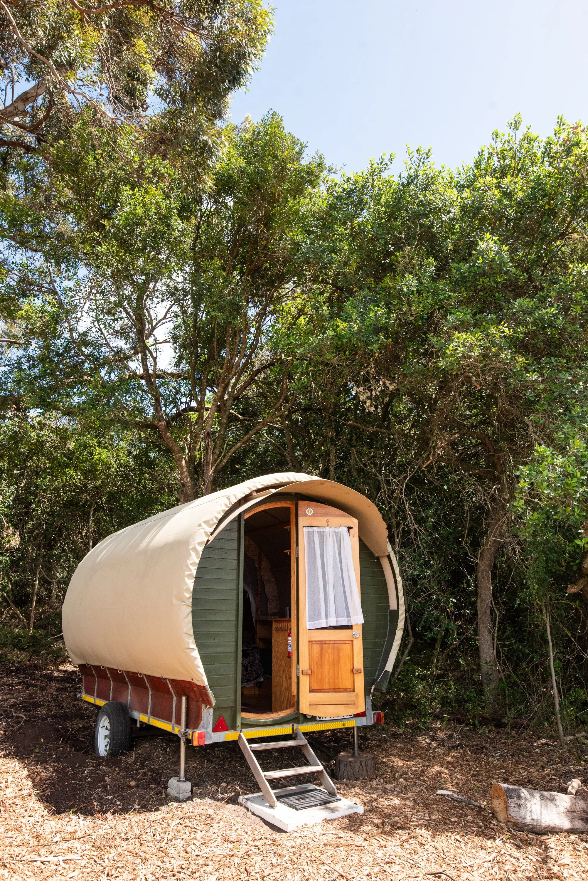 Bodhi Forest_251101_0227.jpg