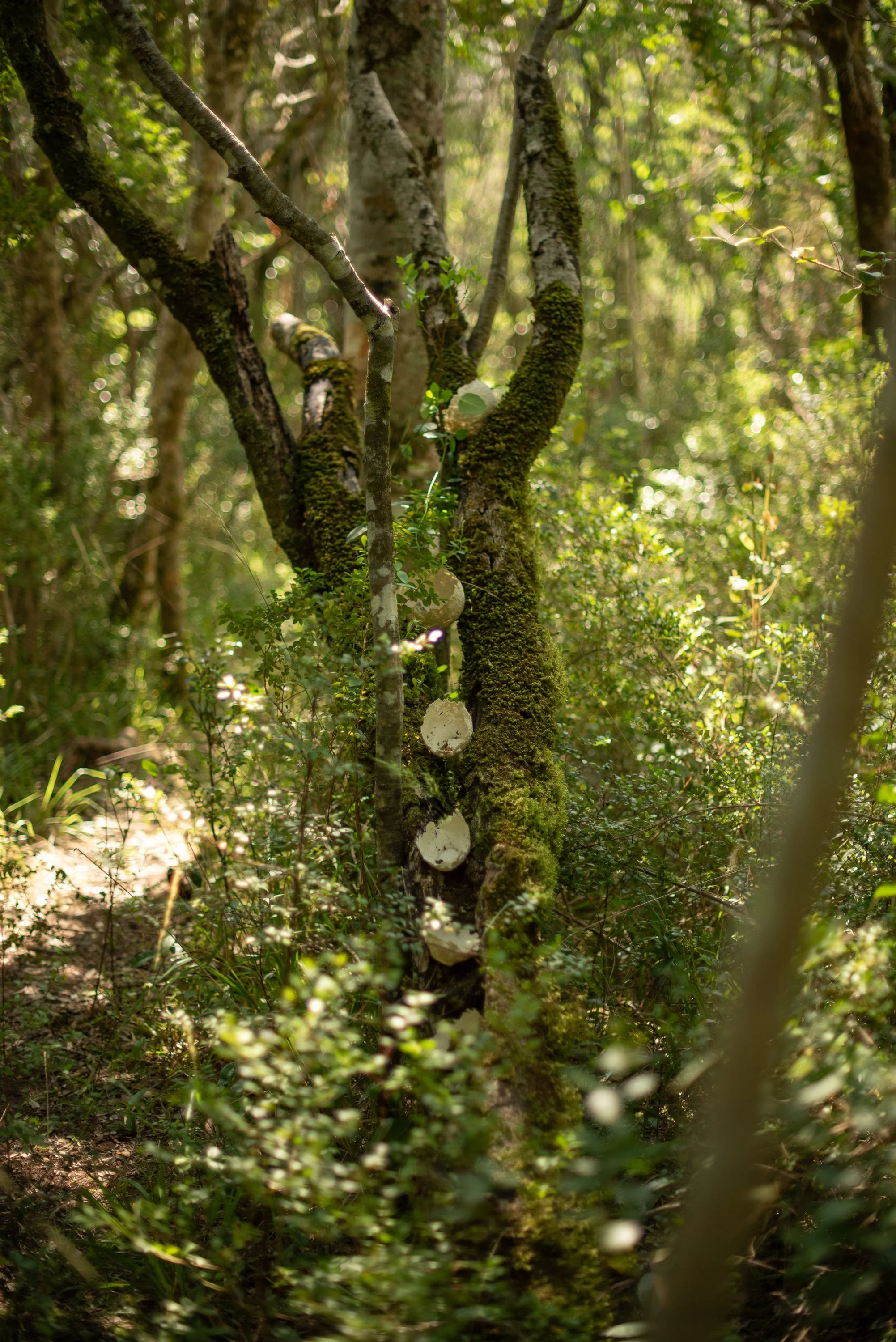 Bodhi Artists_251023_0071.jpg