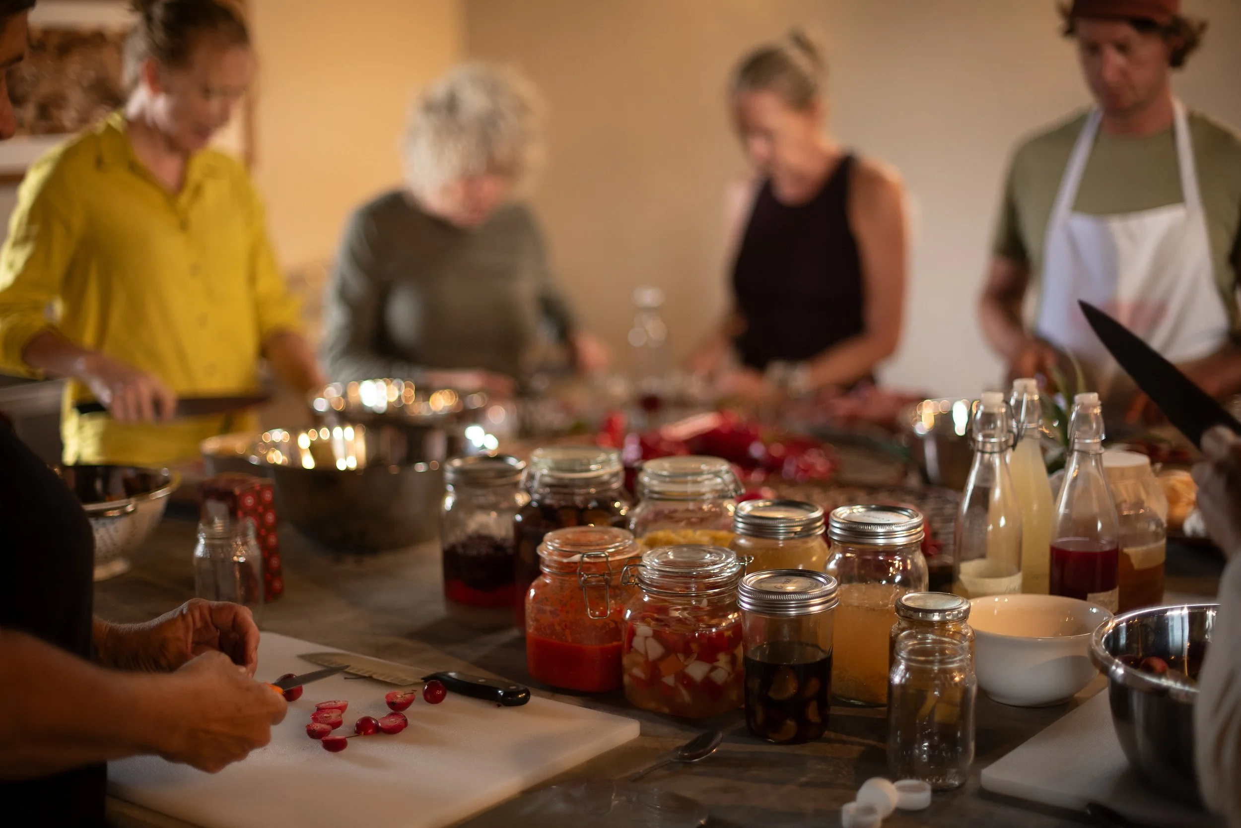 CLaire Gunn_022026_0259 copy.jpg