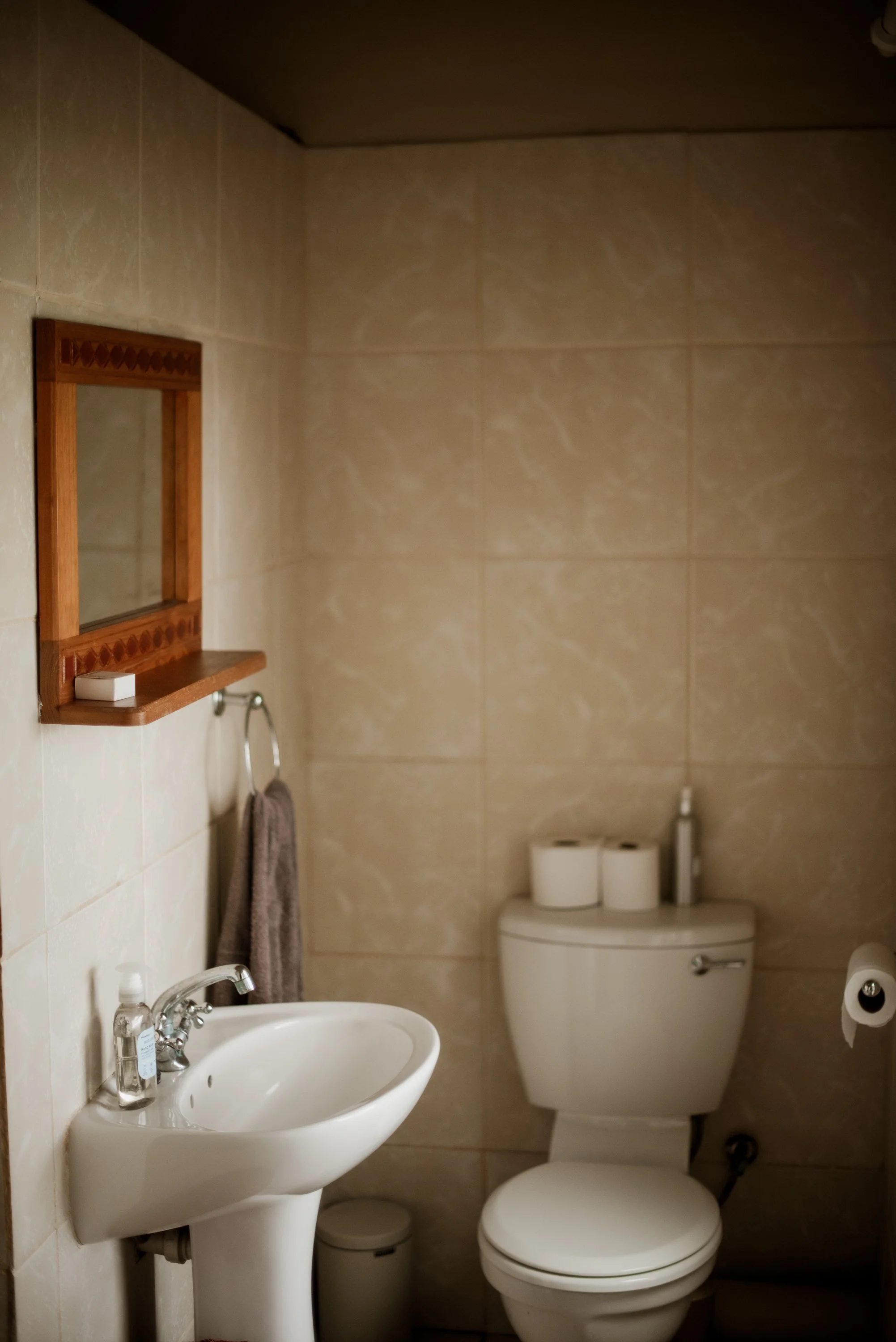 Bodhi Forest_250918_0239.jpg