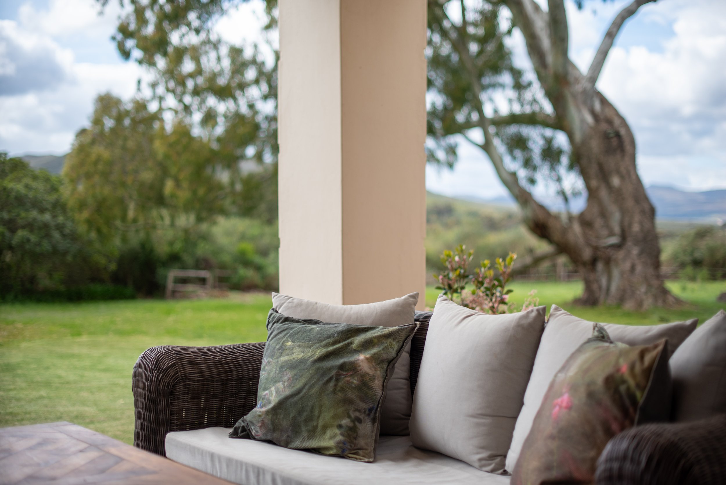 Bodhi Forest_250918_0200.jpg