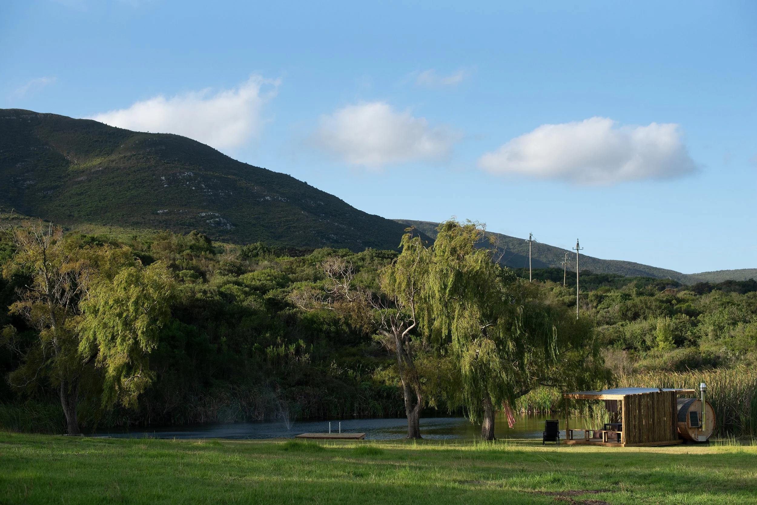 CLaire Gunn_022026_0679 copy.jpg