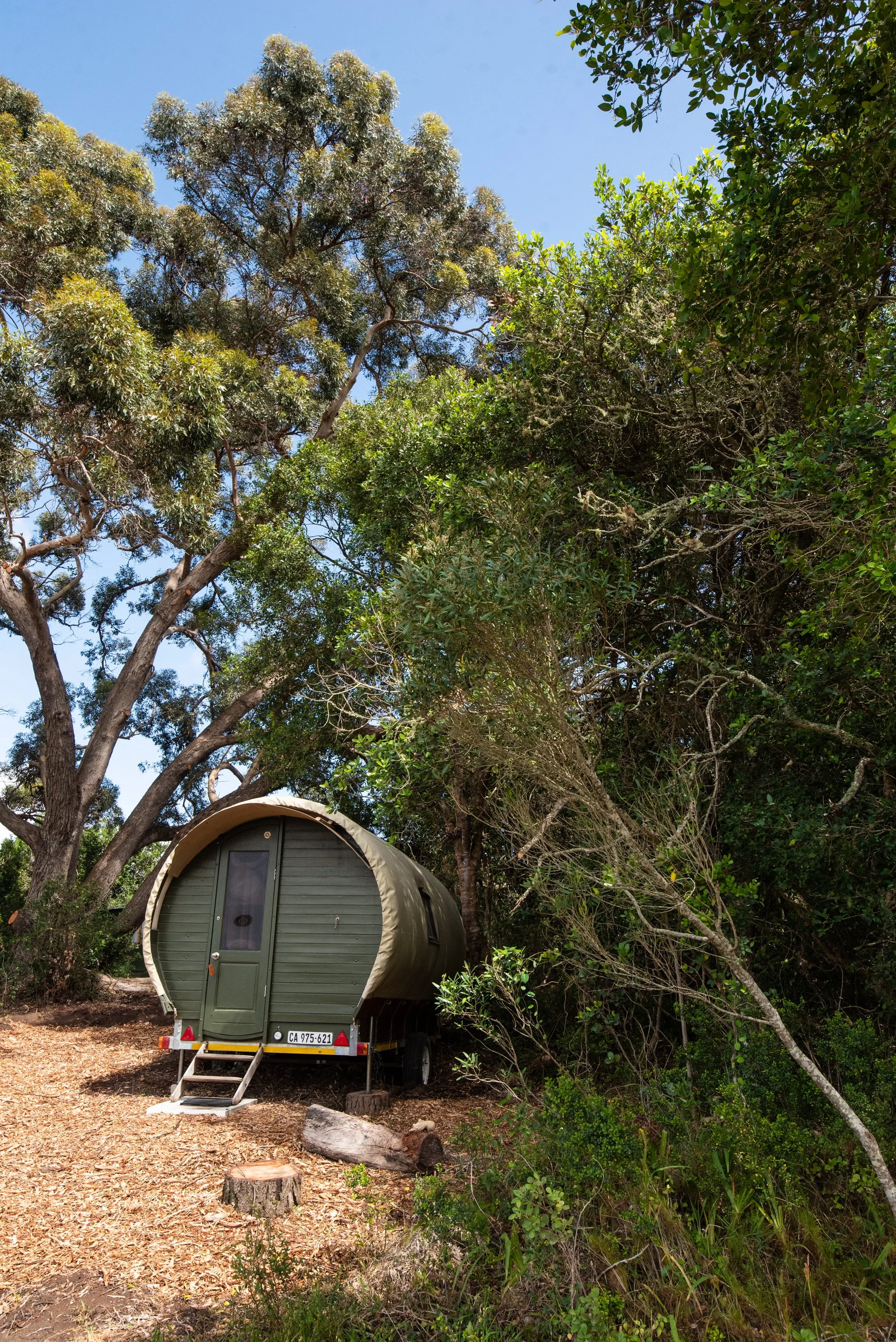 Bodhi Forest_251101_0189.jpg