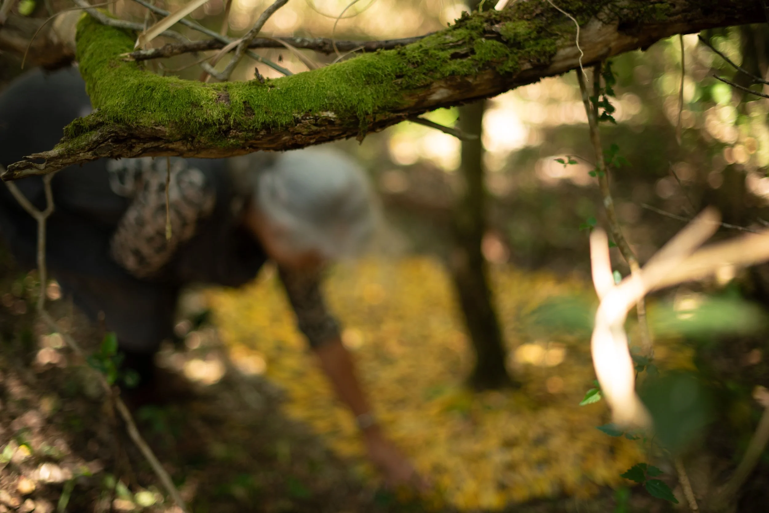 Bodhi Artists_251023_0989.jpg