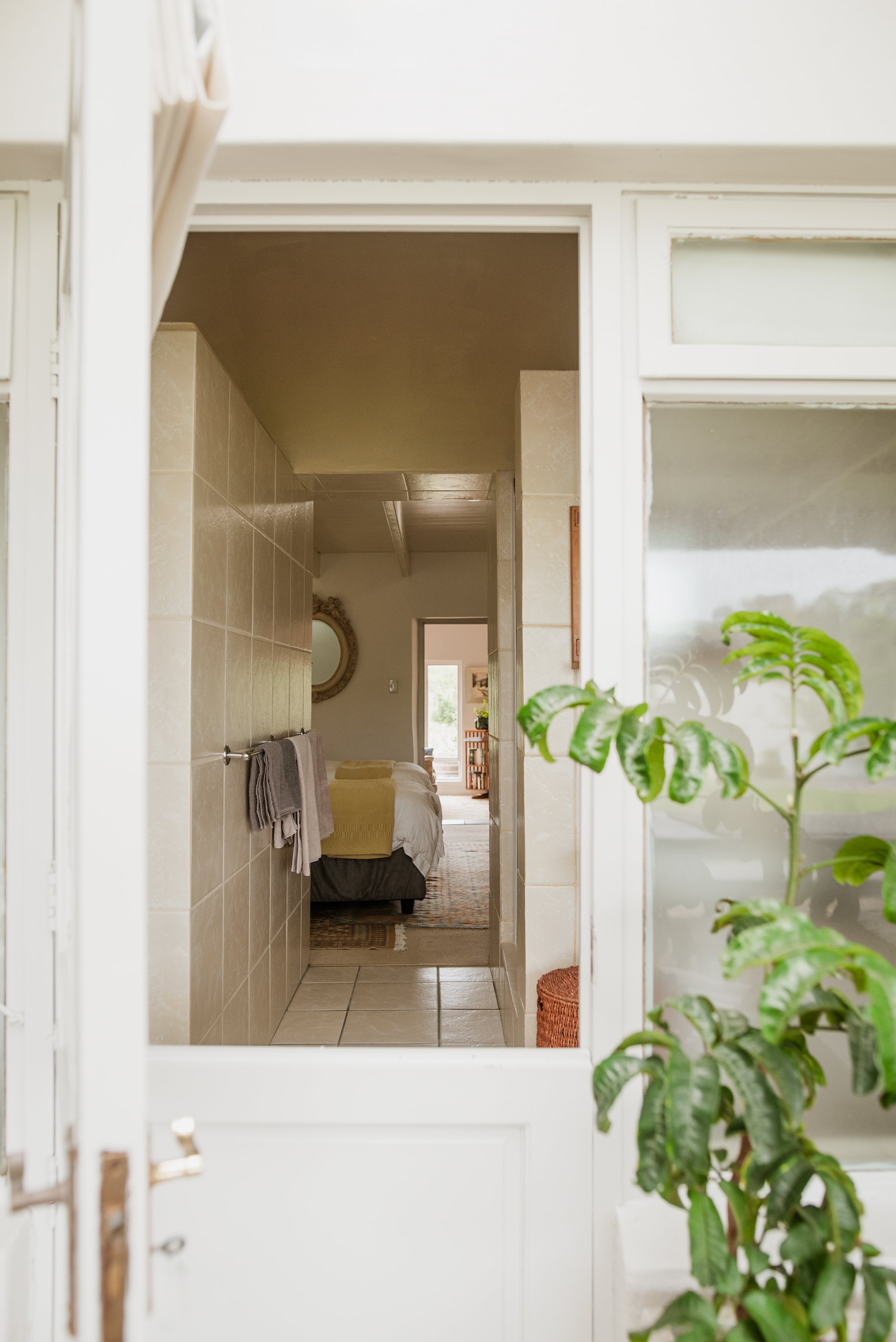 Bodhi Forest_250918_0364.jpg