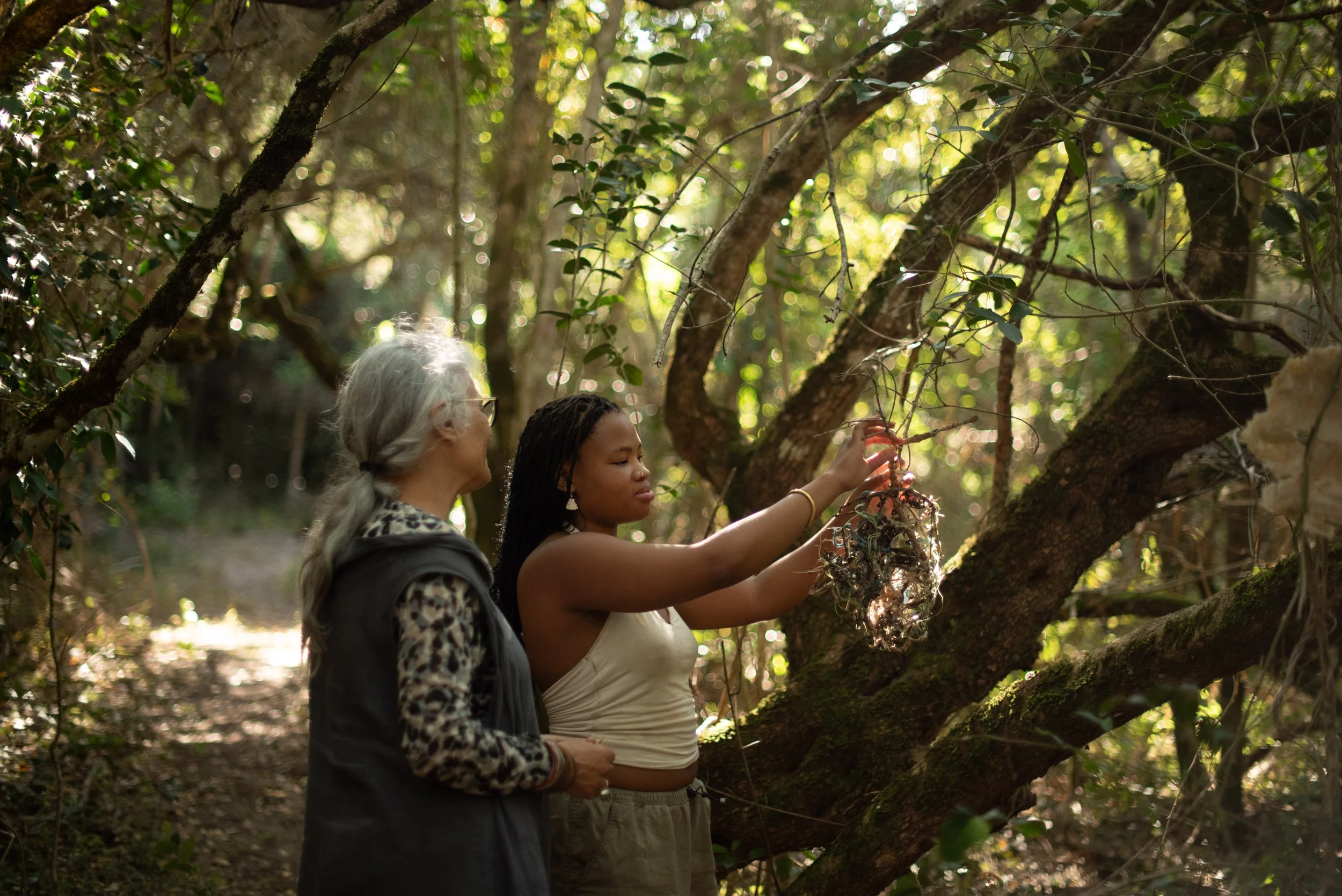 Bodhi Artists_251023_1352.jpg