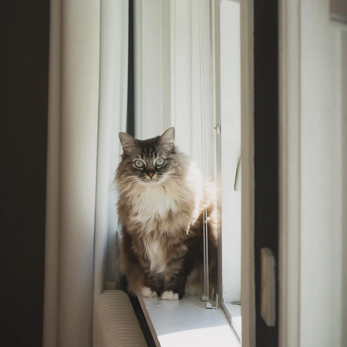 Project: @rogamakelaars 

#vastgoedfotografie 
#vastgoedmakerlaar 
#woningtekoop 
#realestate 
#fotografie 
#breda 
#makelaardij 
#makelaarbreda 
#interieurfotograaf 
#interieurinspiratie 
#photography 
#bredawonen