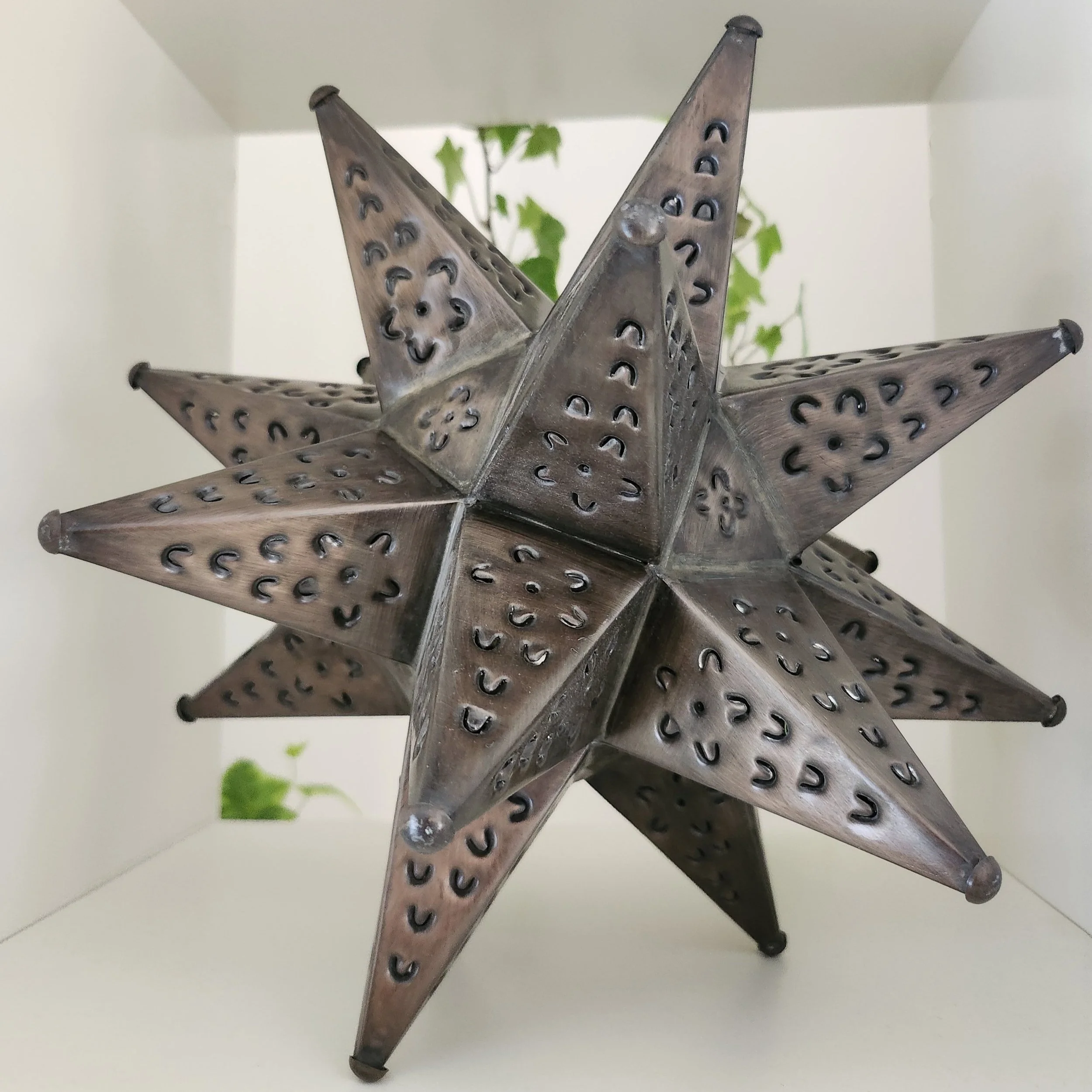 estrella.jpg