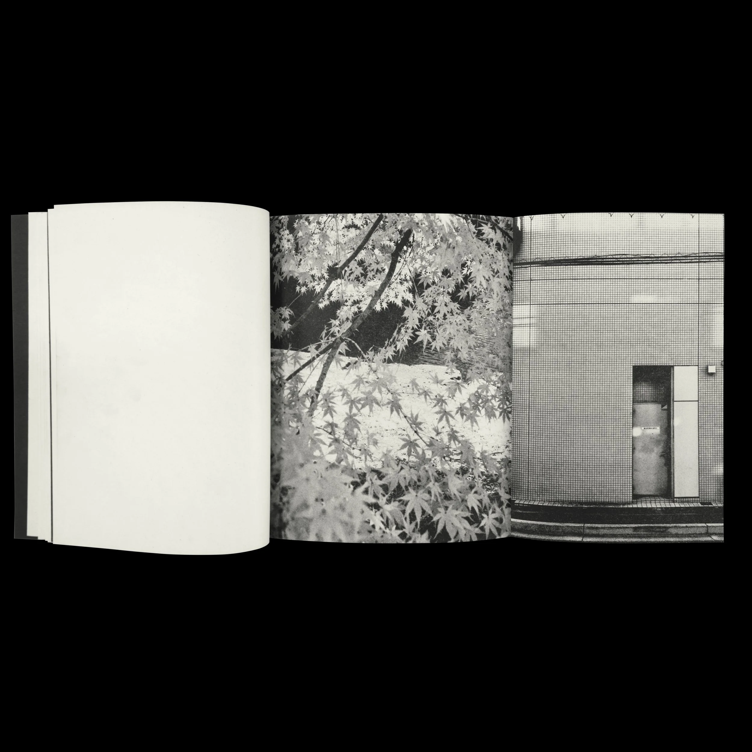 Fragrant Promo Square 025.jpg