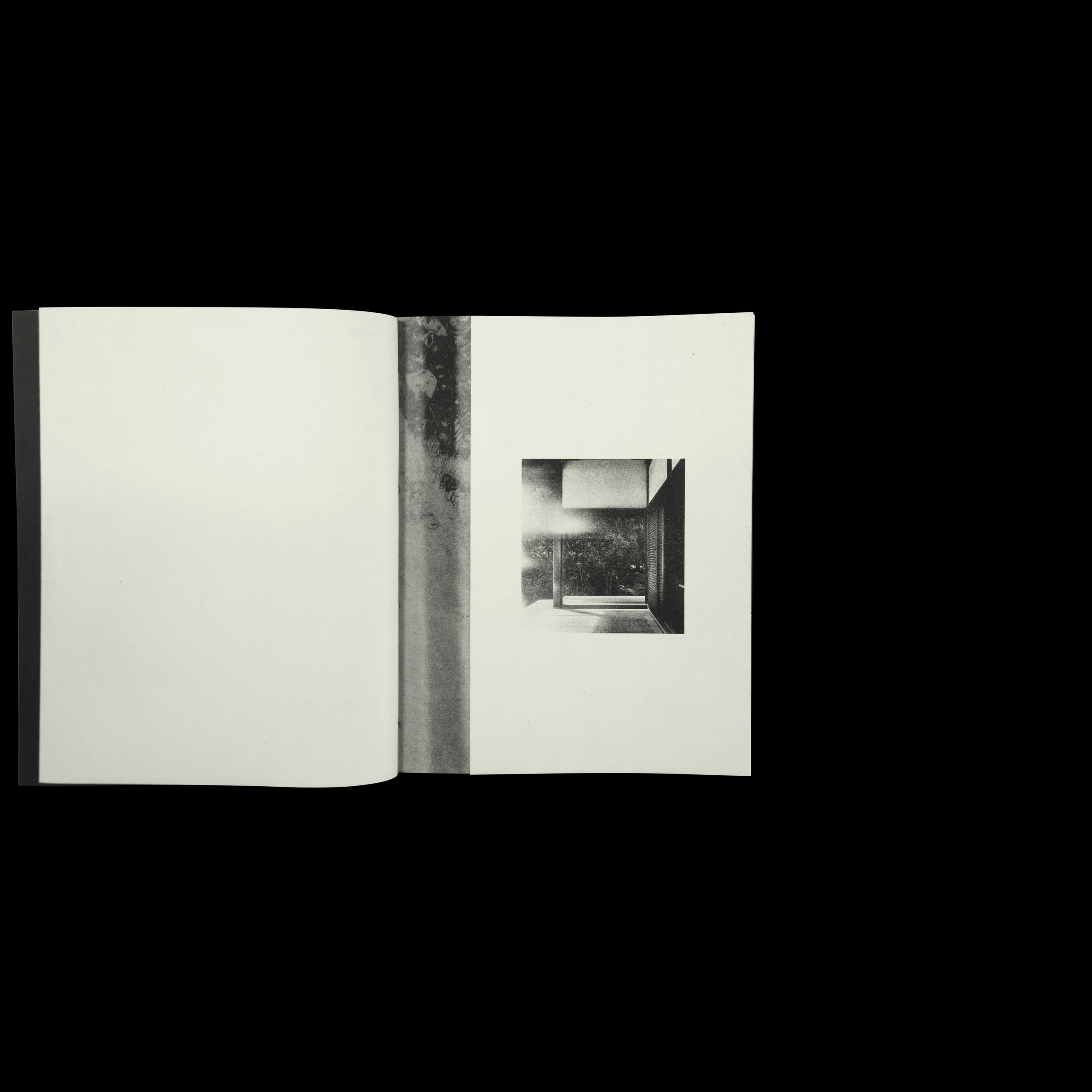 Fragrant Promo Square 004.jpg