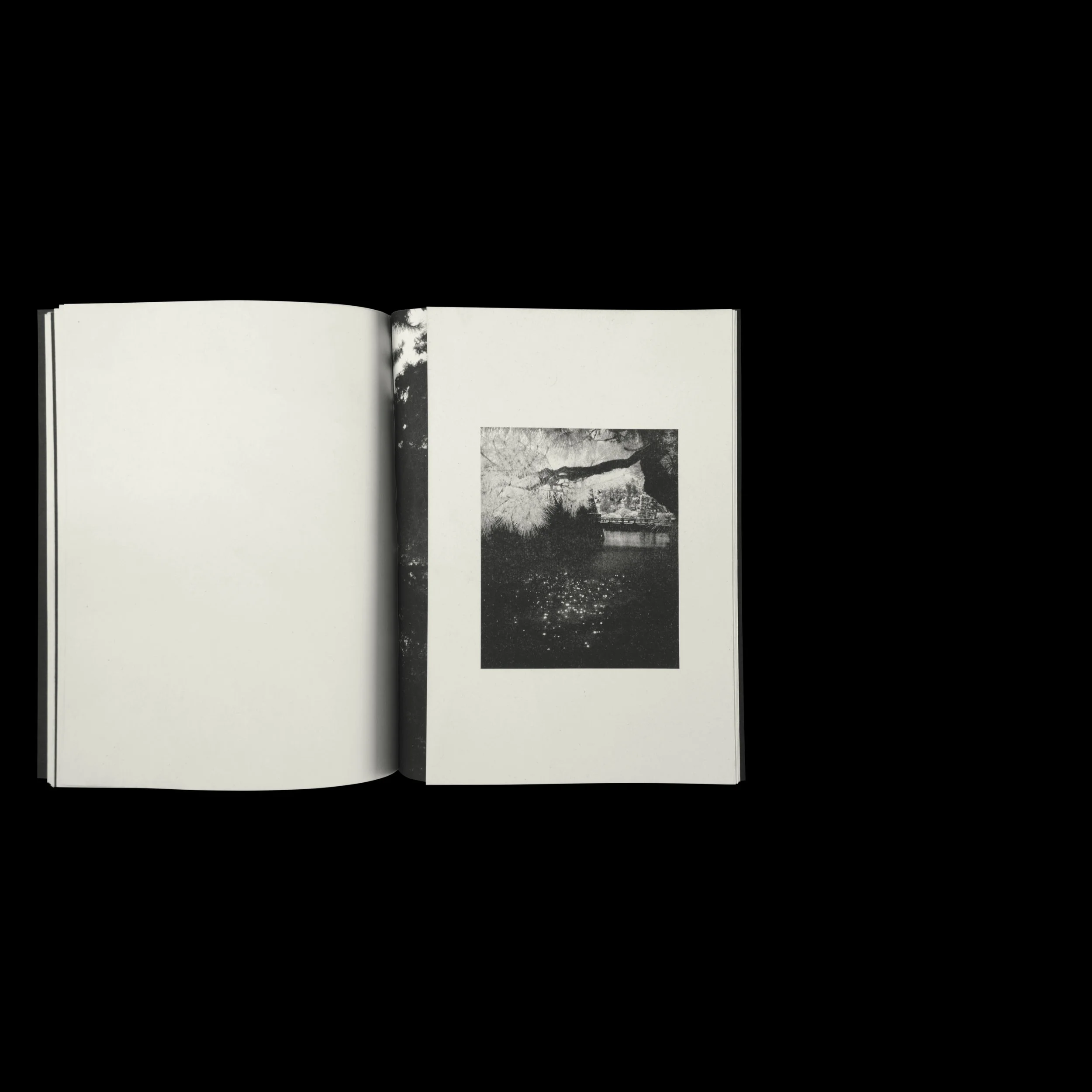 Fragrant Promo Square 026.jpg