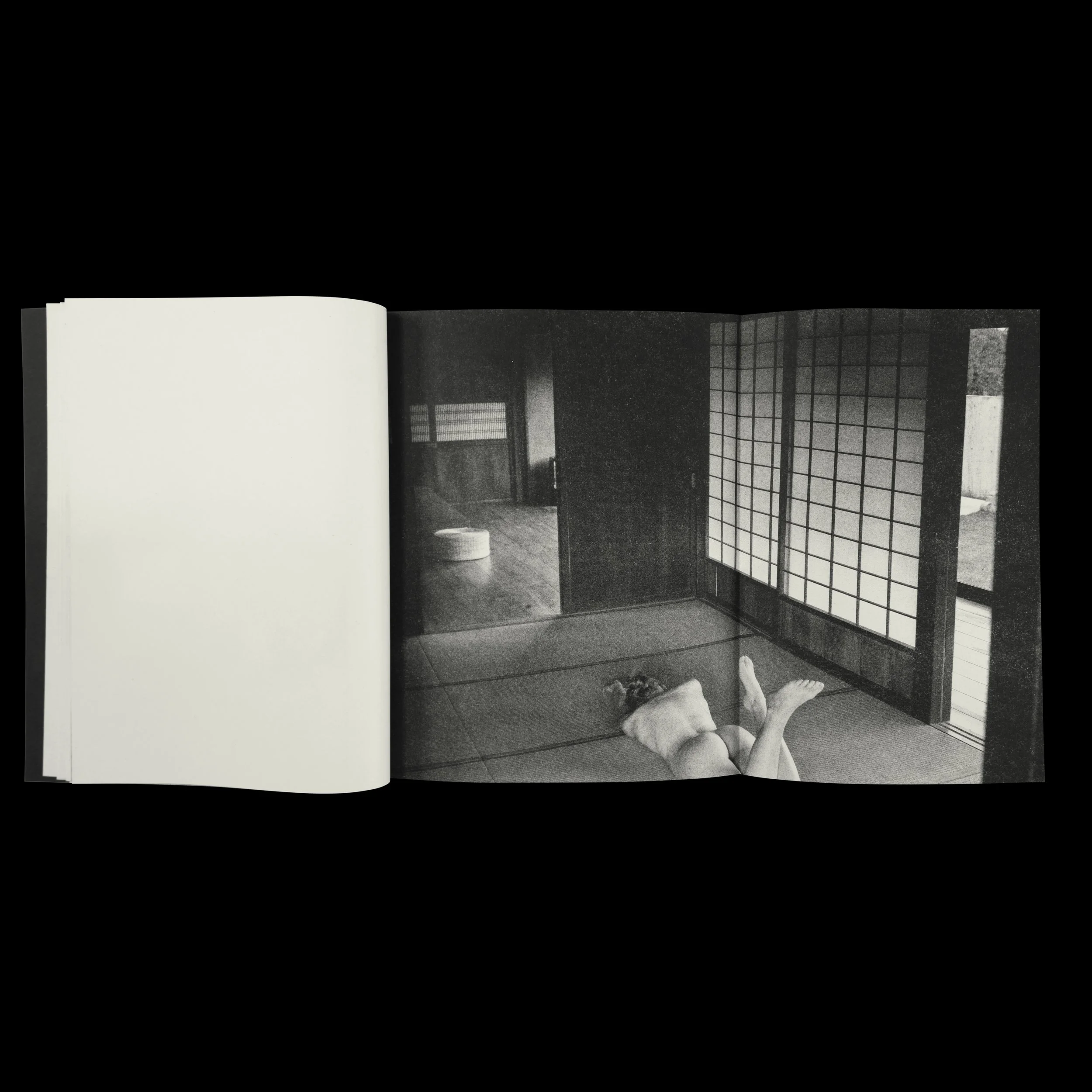 Fragrant Promo Square 023.jpg