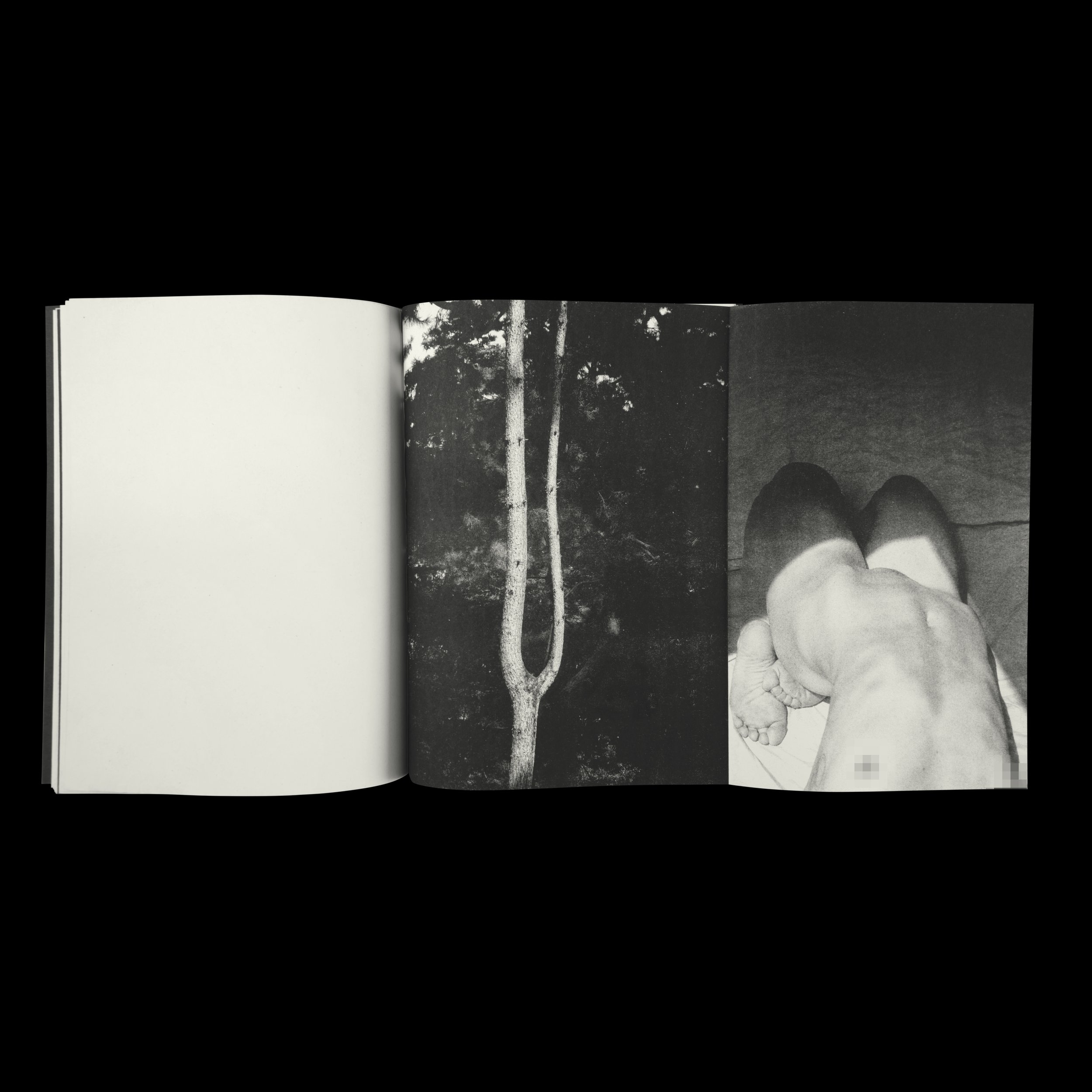 Fragrant Promo Square 027.jpg