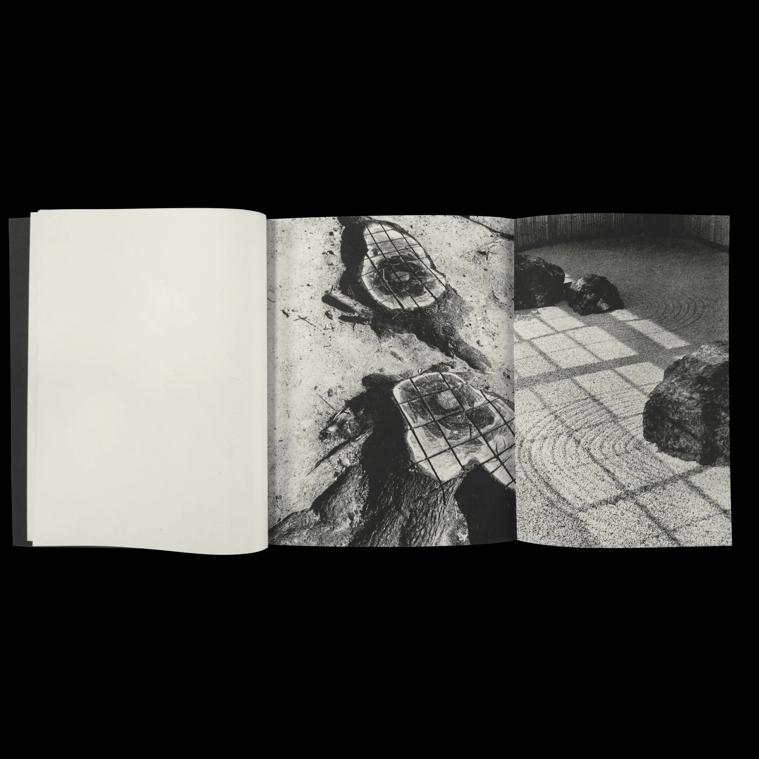 Fragrant Promo Square 013.jpg