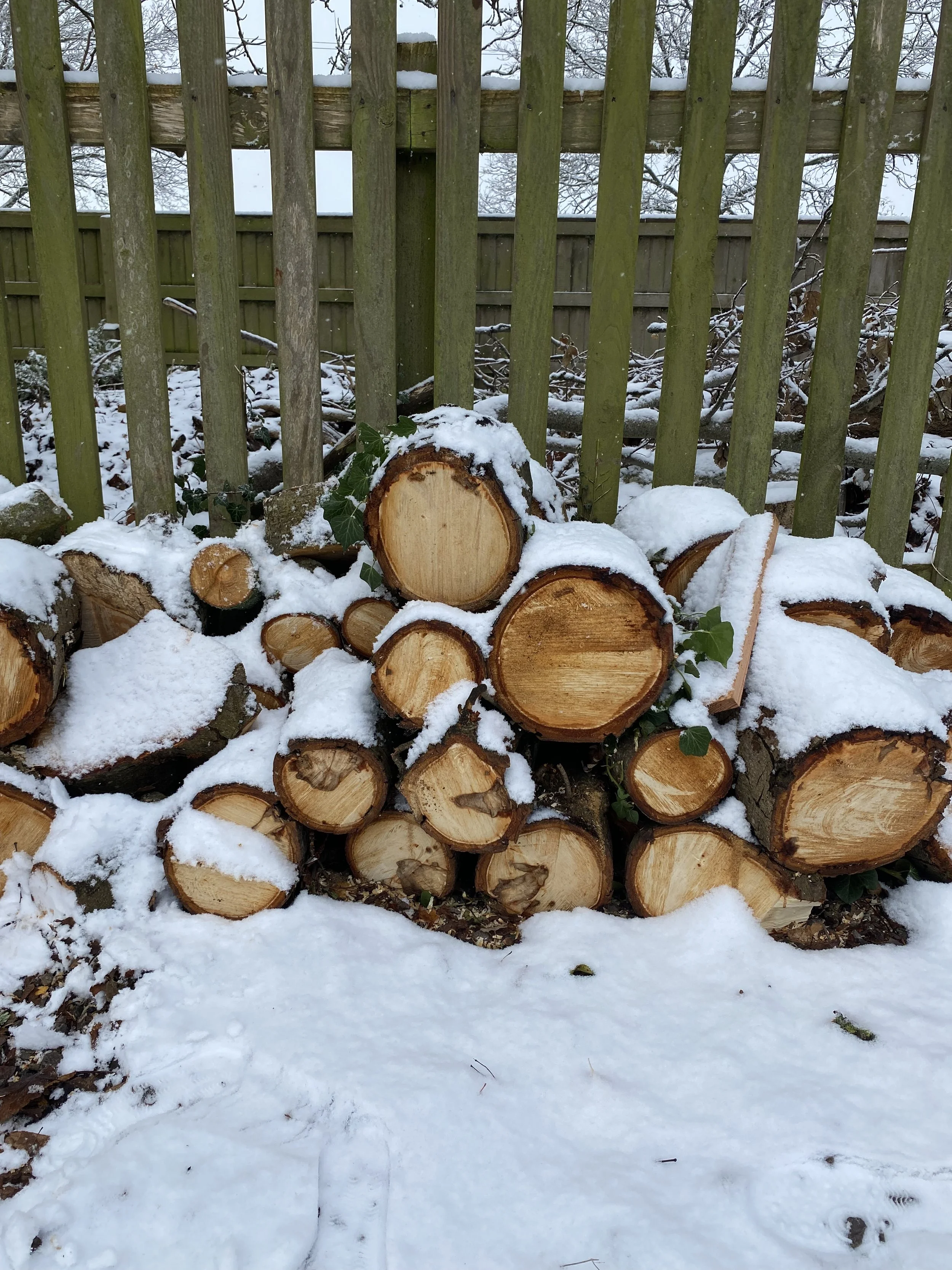 Logs in the snow