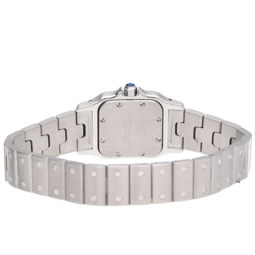 46716_CARTIER SANTOS_31.01.2024-7.jpg