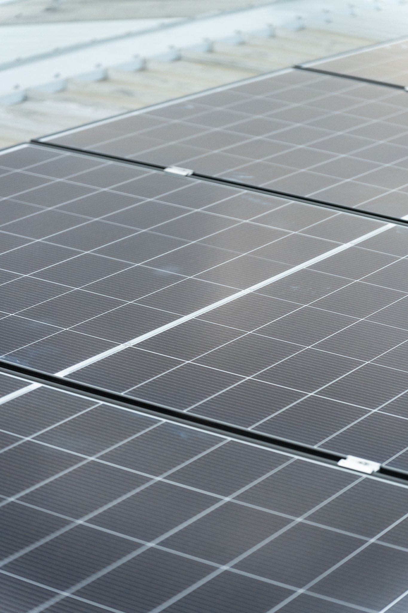100626_Alpha Renewables-68.jpg