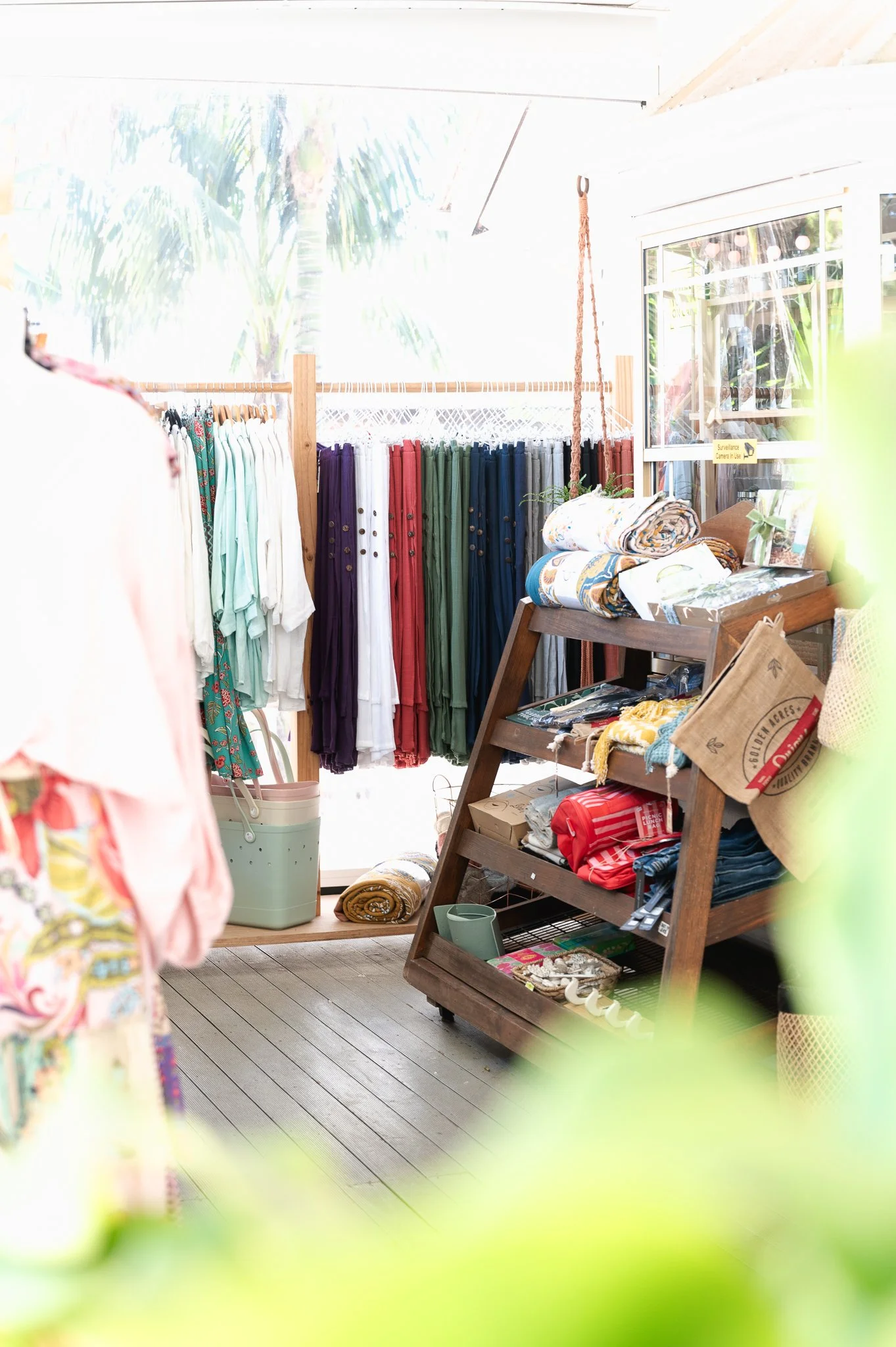 021225_Little Homebody-25.jpg