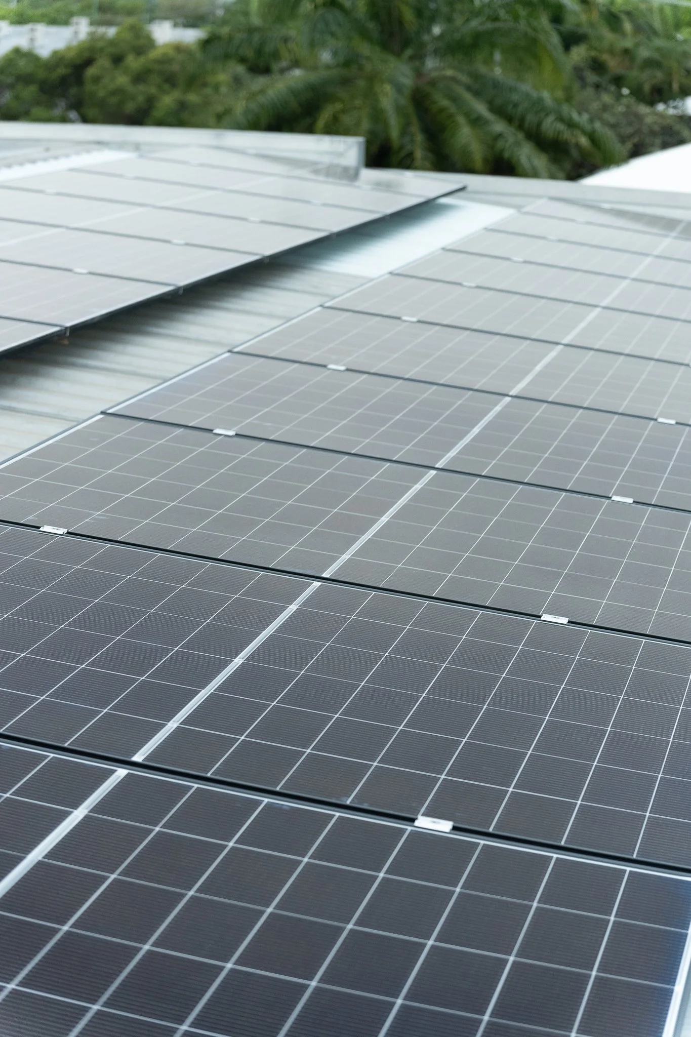 100626_Alpha Renewables-47.jpg