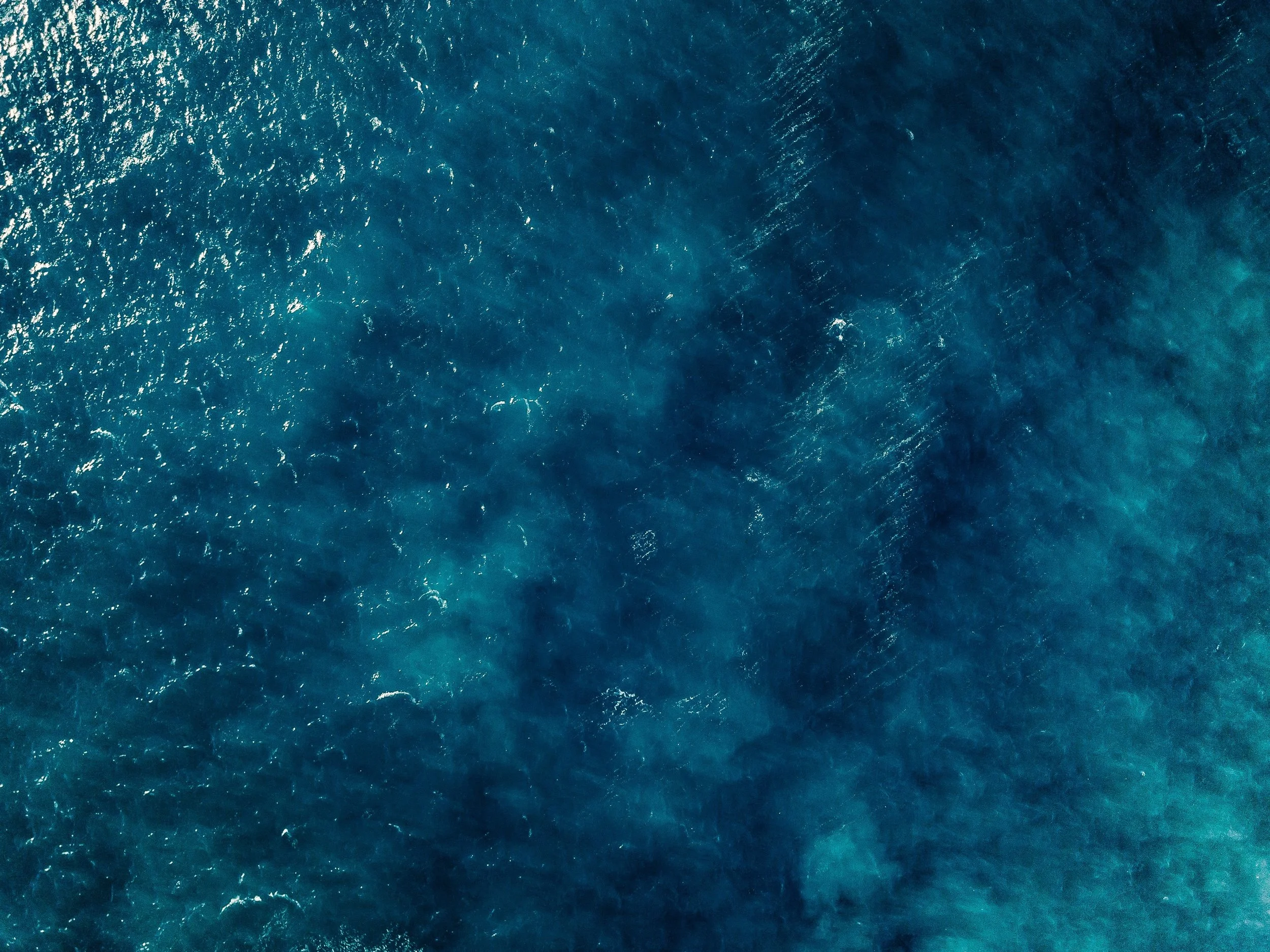 AdobeStock_246358509.jpeg