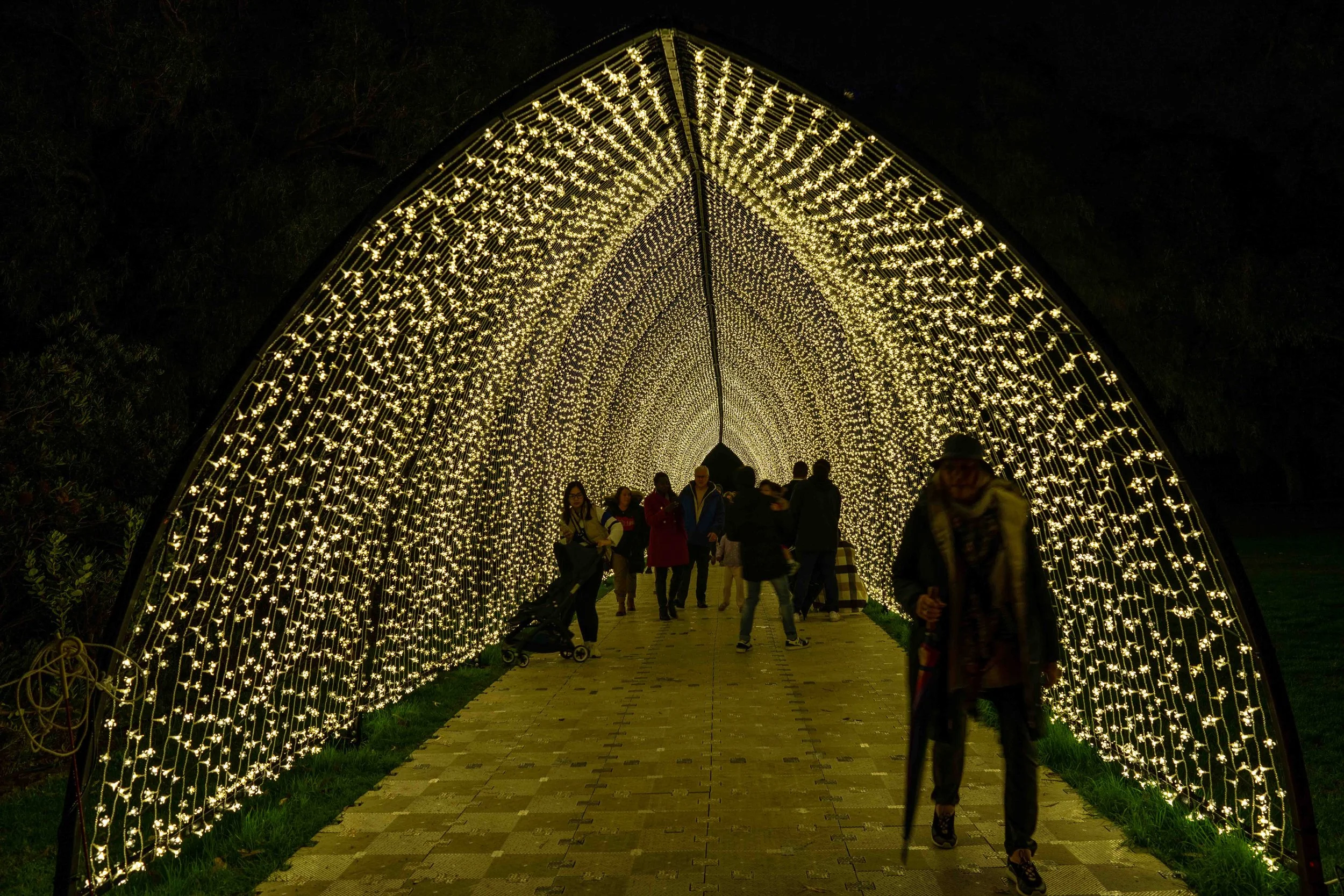 20230725-Lightscape-DSC06367.jpg