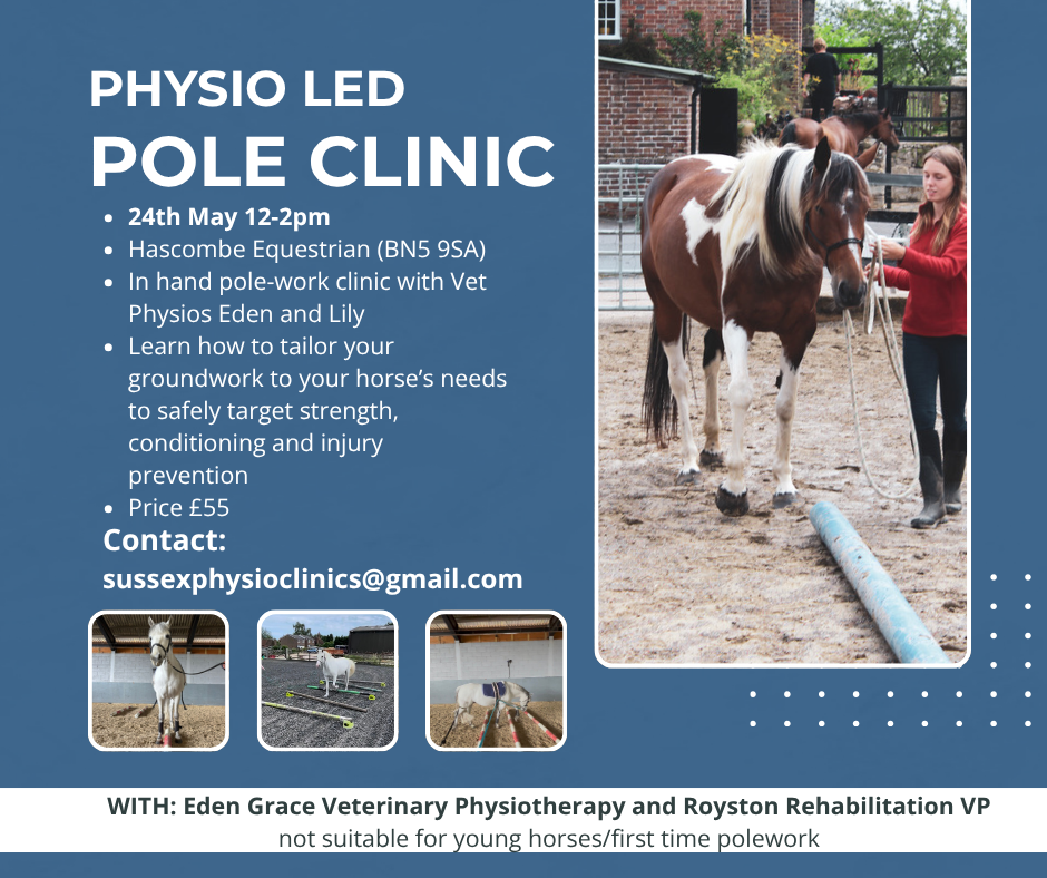 Physio Led Pole Clinic