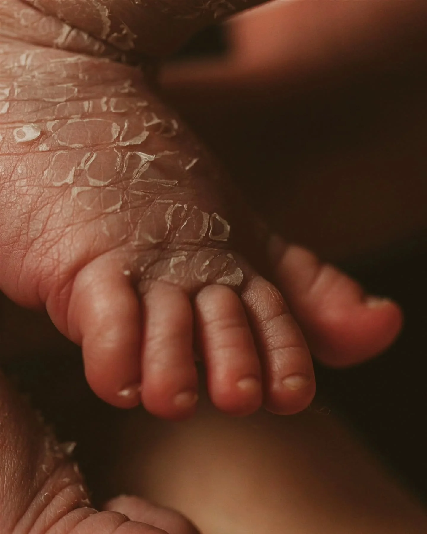 There&rsquo;s something sacred about meeting a baby where their story began.

Home 🏡 

In the quiet warmth of the walls that welcomed their very first breath.
Their firstborn (finally one without fur hehe), wrapped in earthy tones and the kind of st