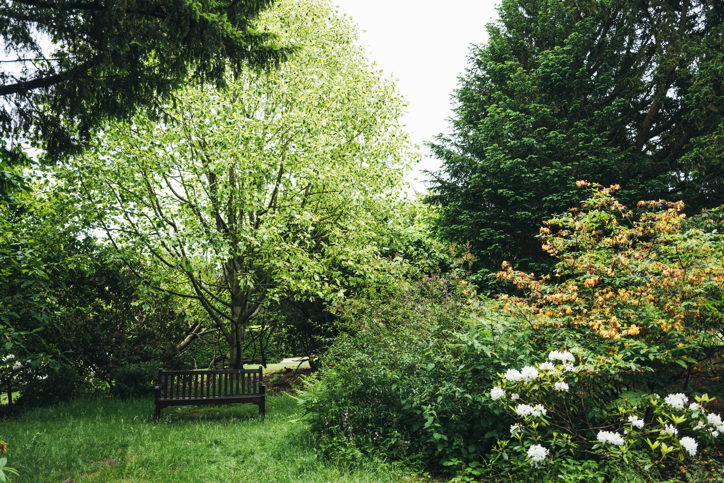 Wentworth Castle Gardens-41.jpg