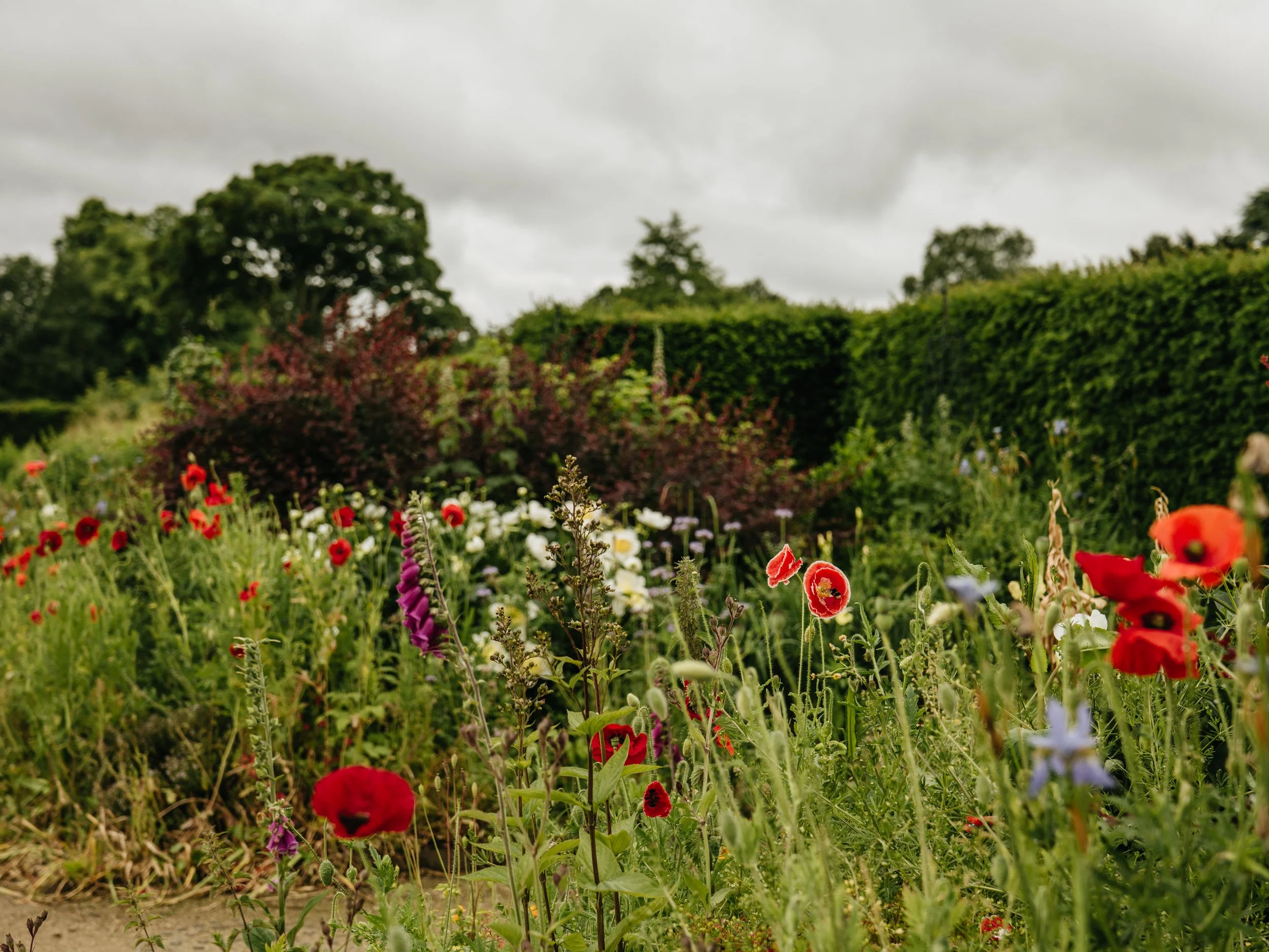Wentworth Castle Gardens