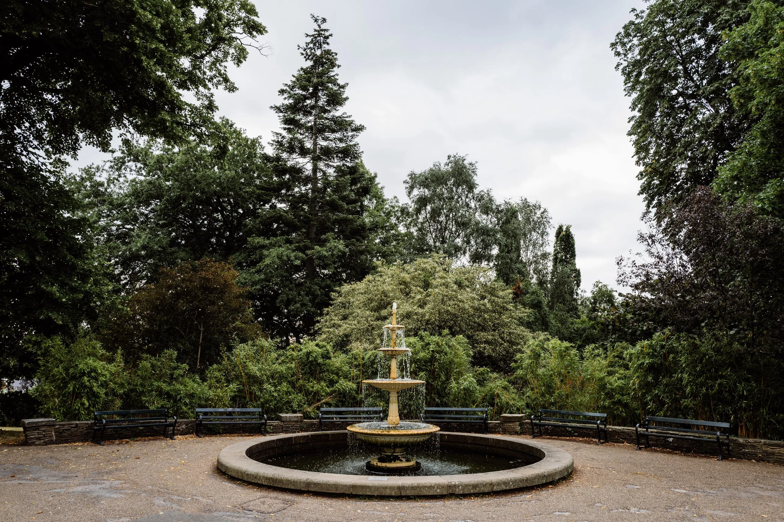 Botanical-11.jpg