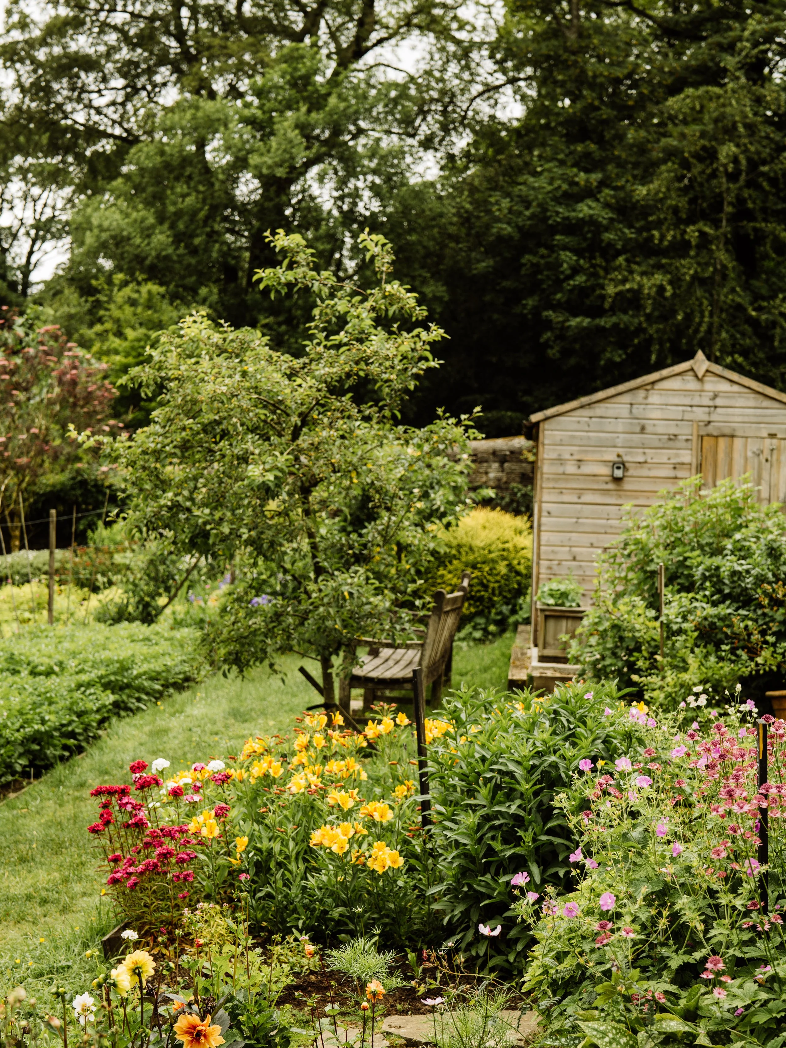 Longshaw-44.jpg