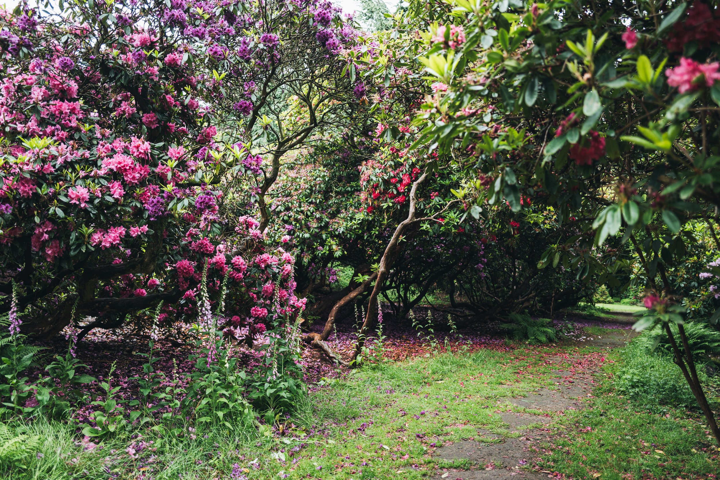 Wentworth Castle Gardens-43.jpg