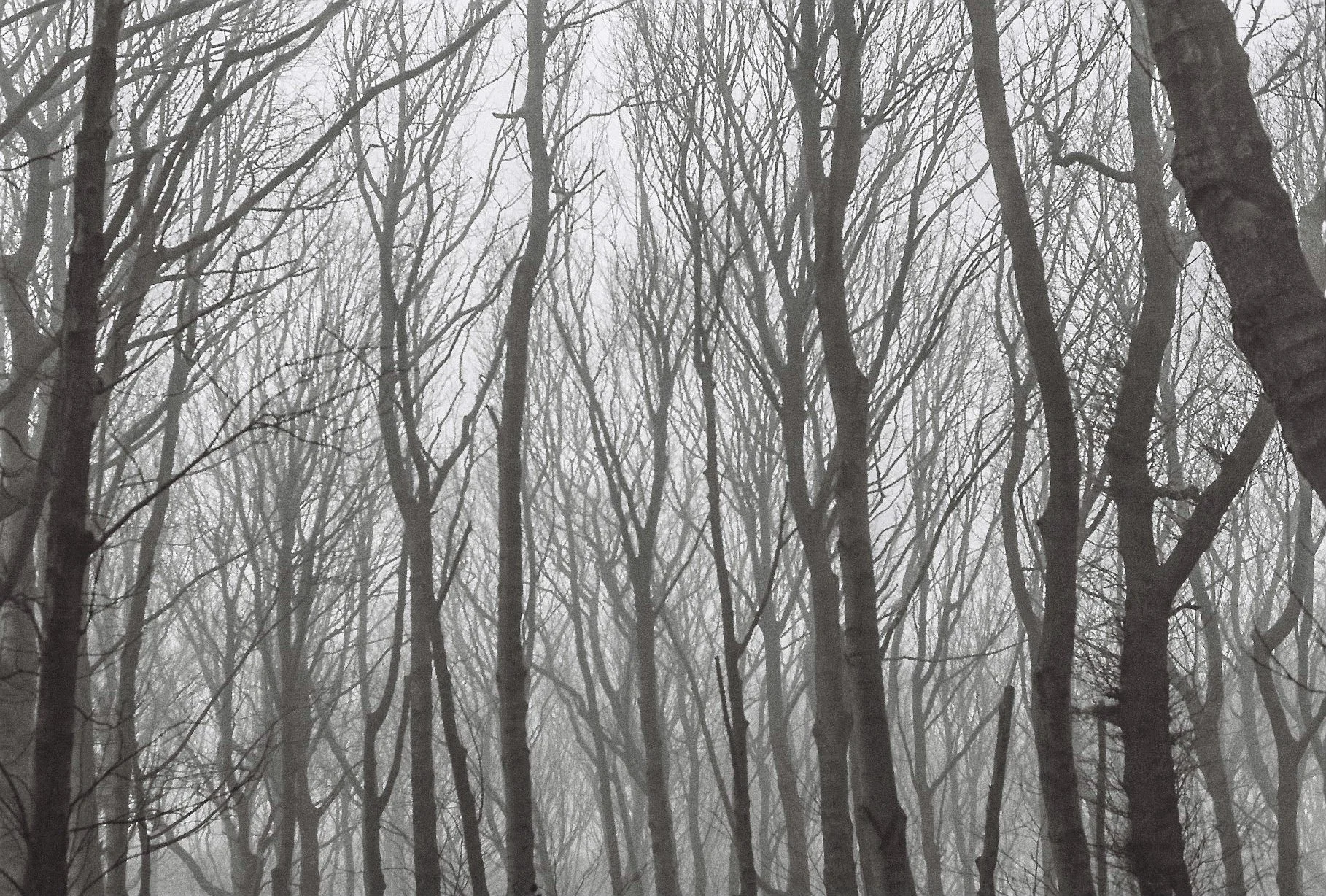 Walking Additional-9.jpg