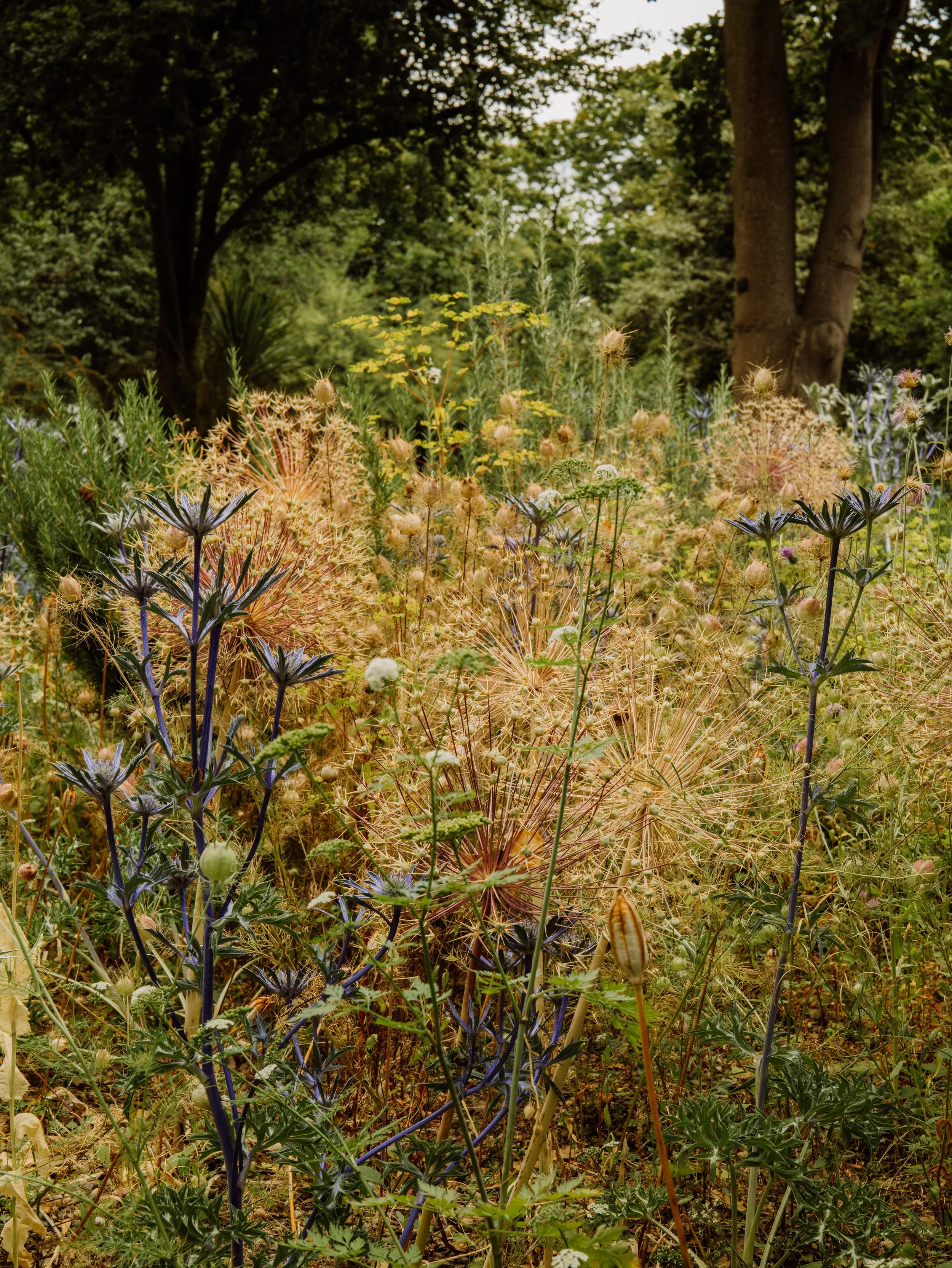 Botanical-86.jpg