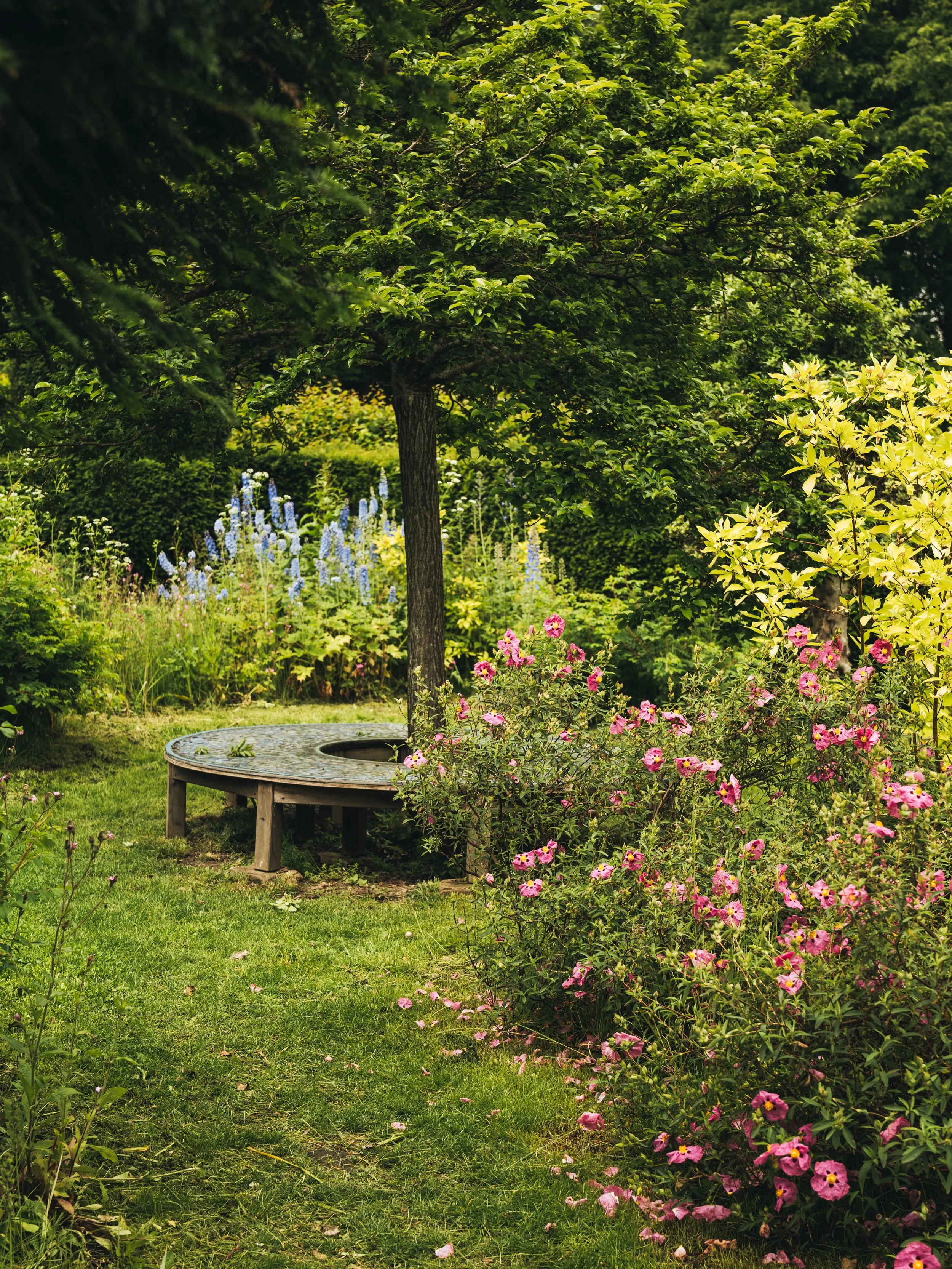 Wentworth Castle Gardens-114.jpeg