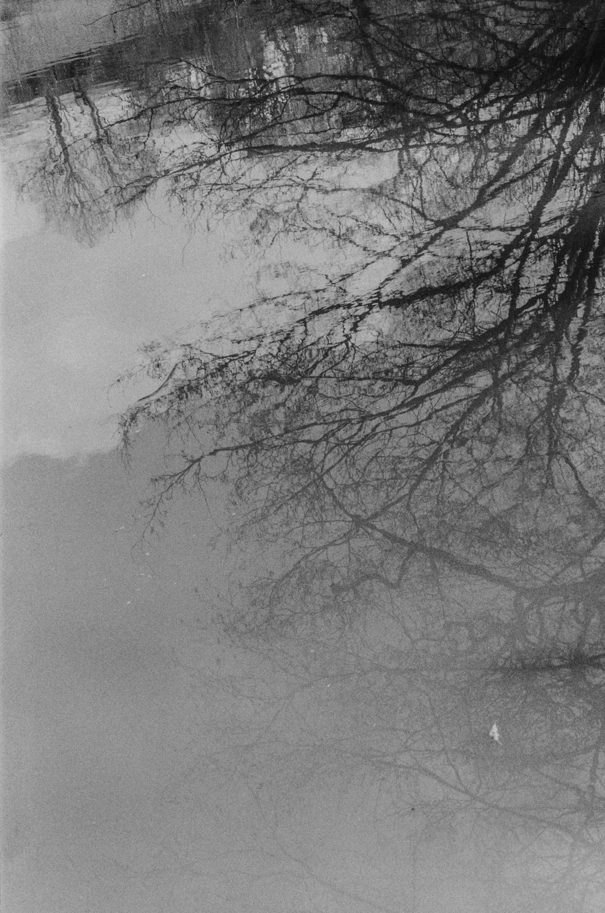 Walking-3.jpg