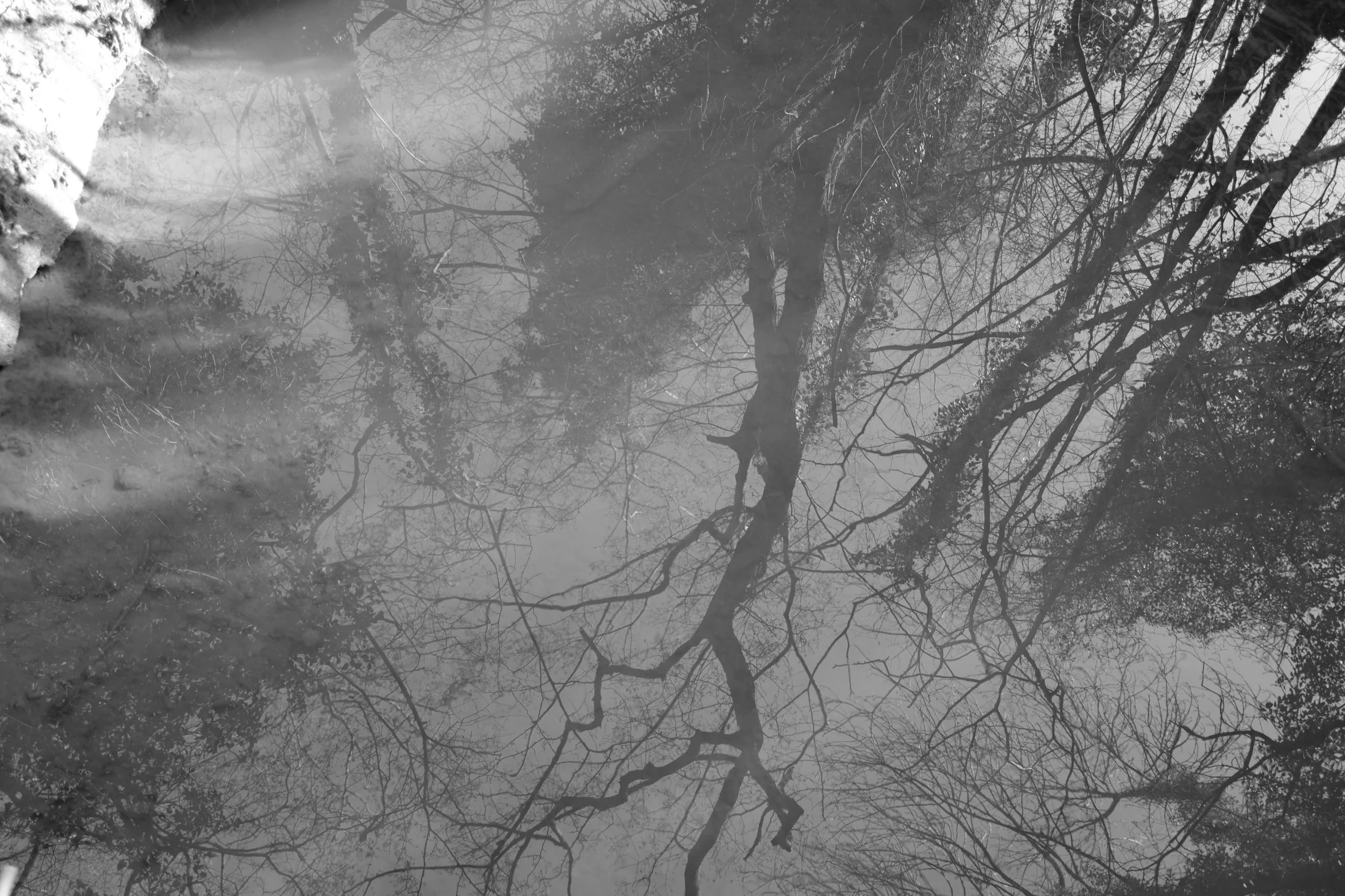 Walking, A Way - The Art of Seeing (Part 1)