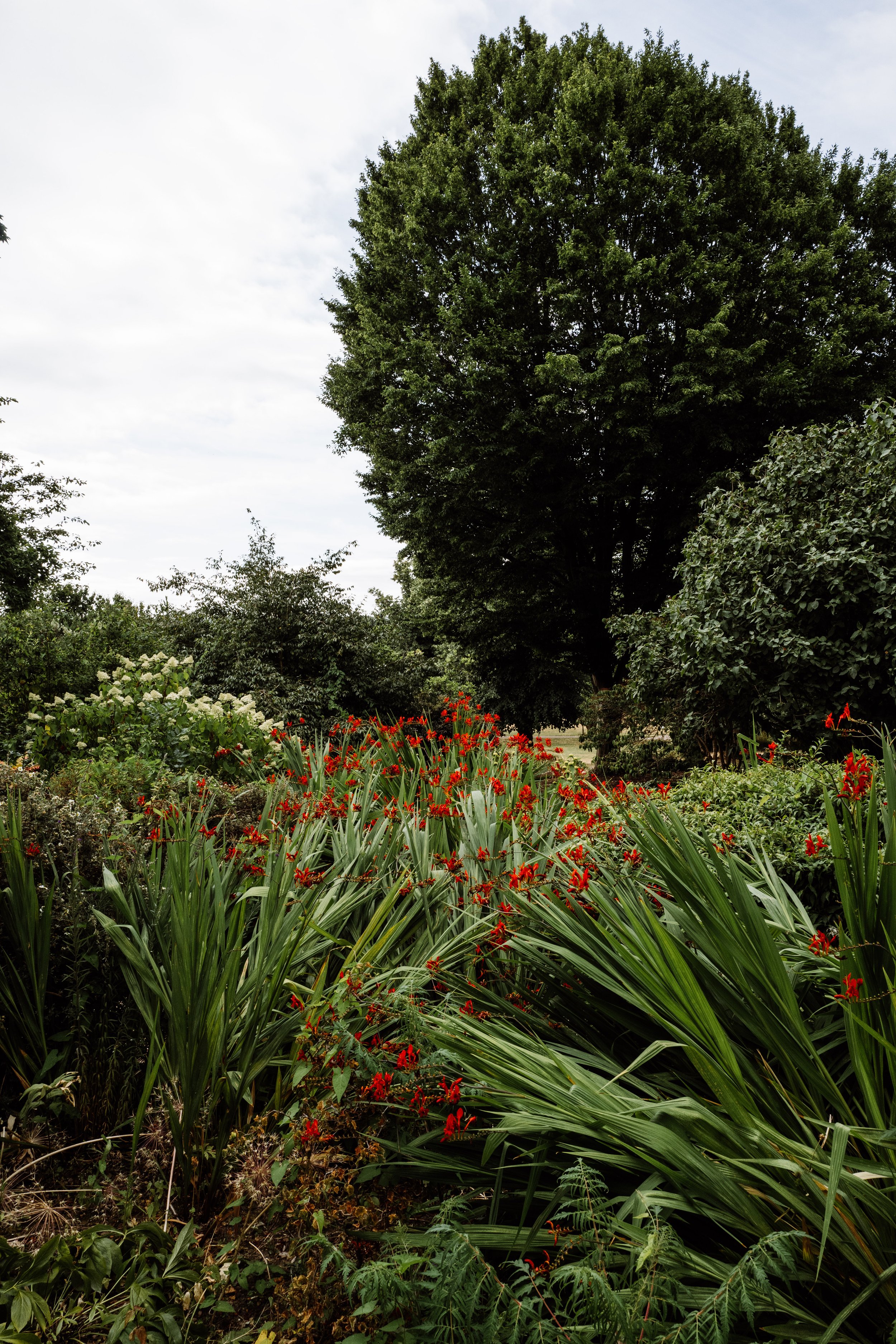 Botanical-78.jpg