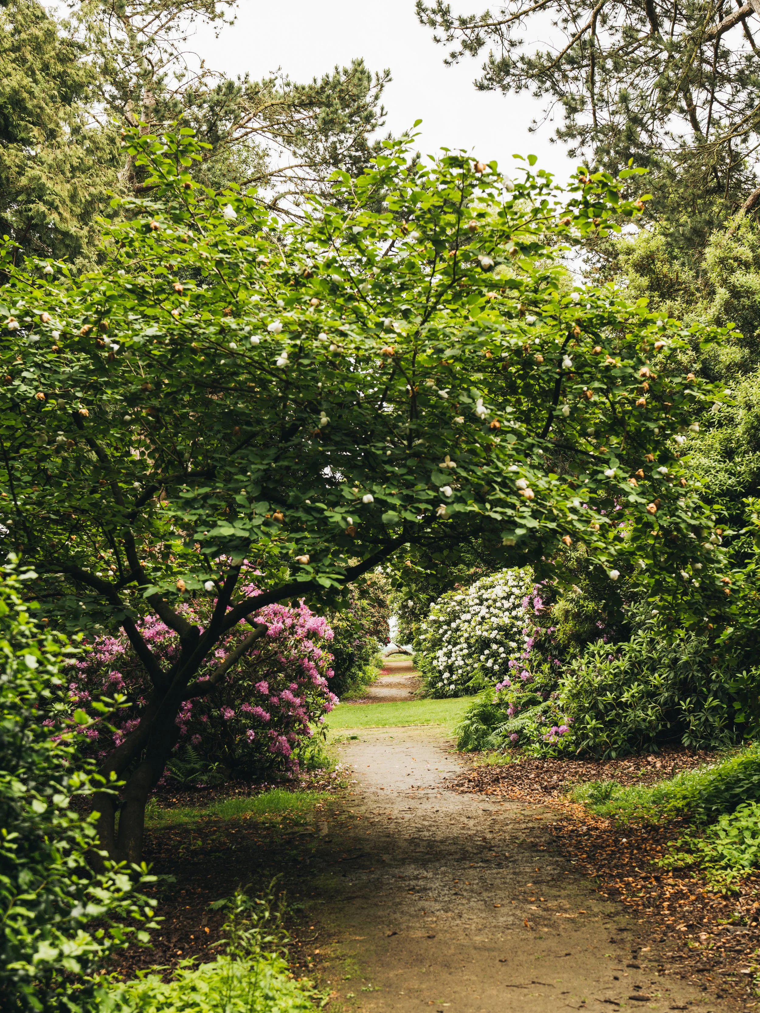 Wentworth Castle Gardens-75.jpeg