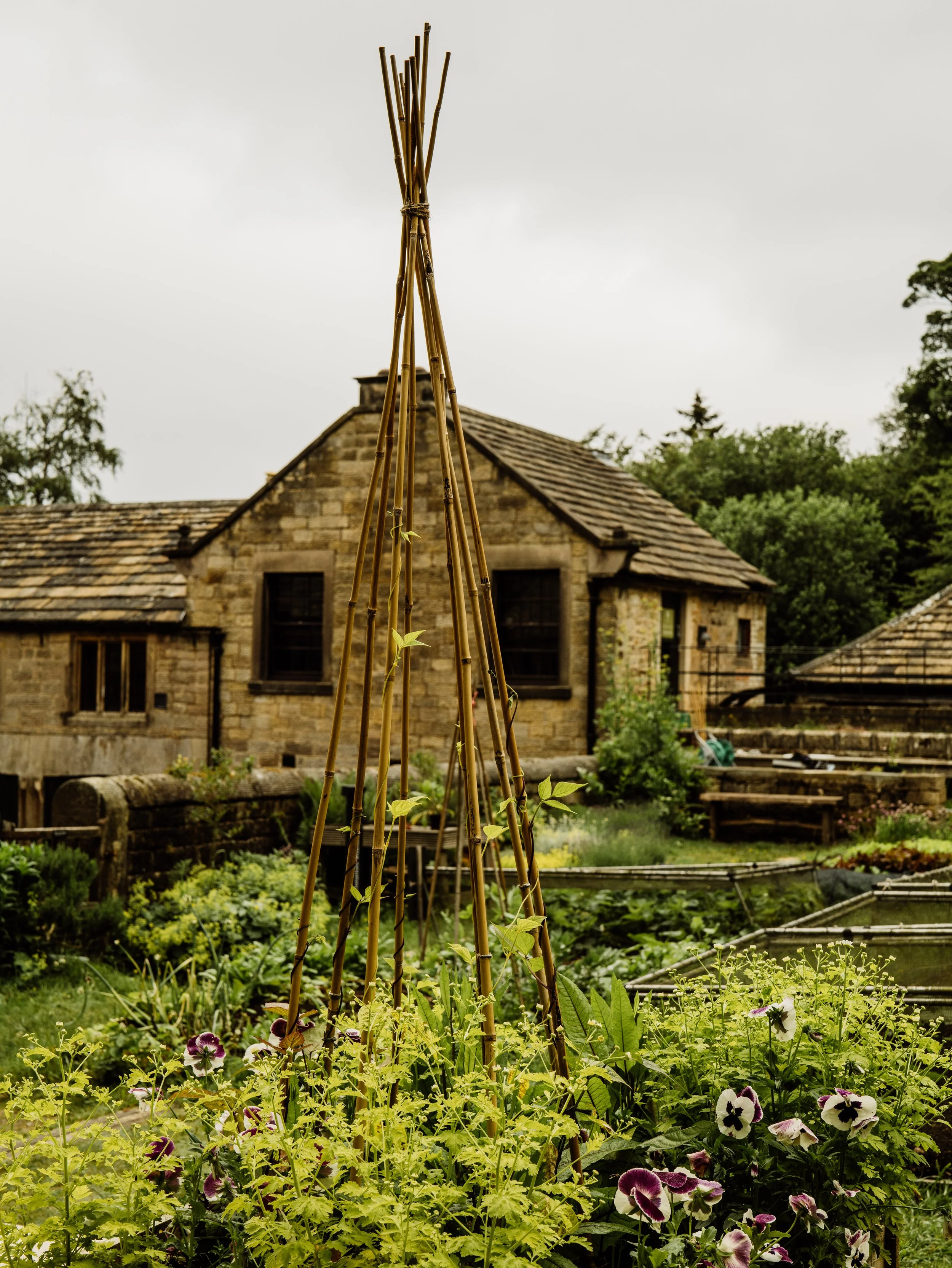 Longshaw-38.jpg