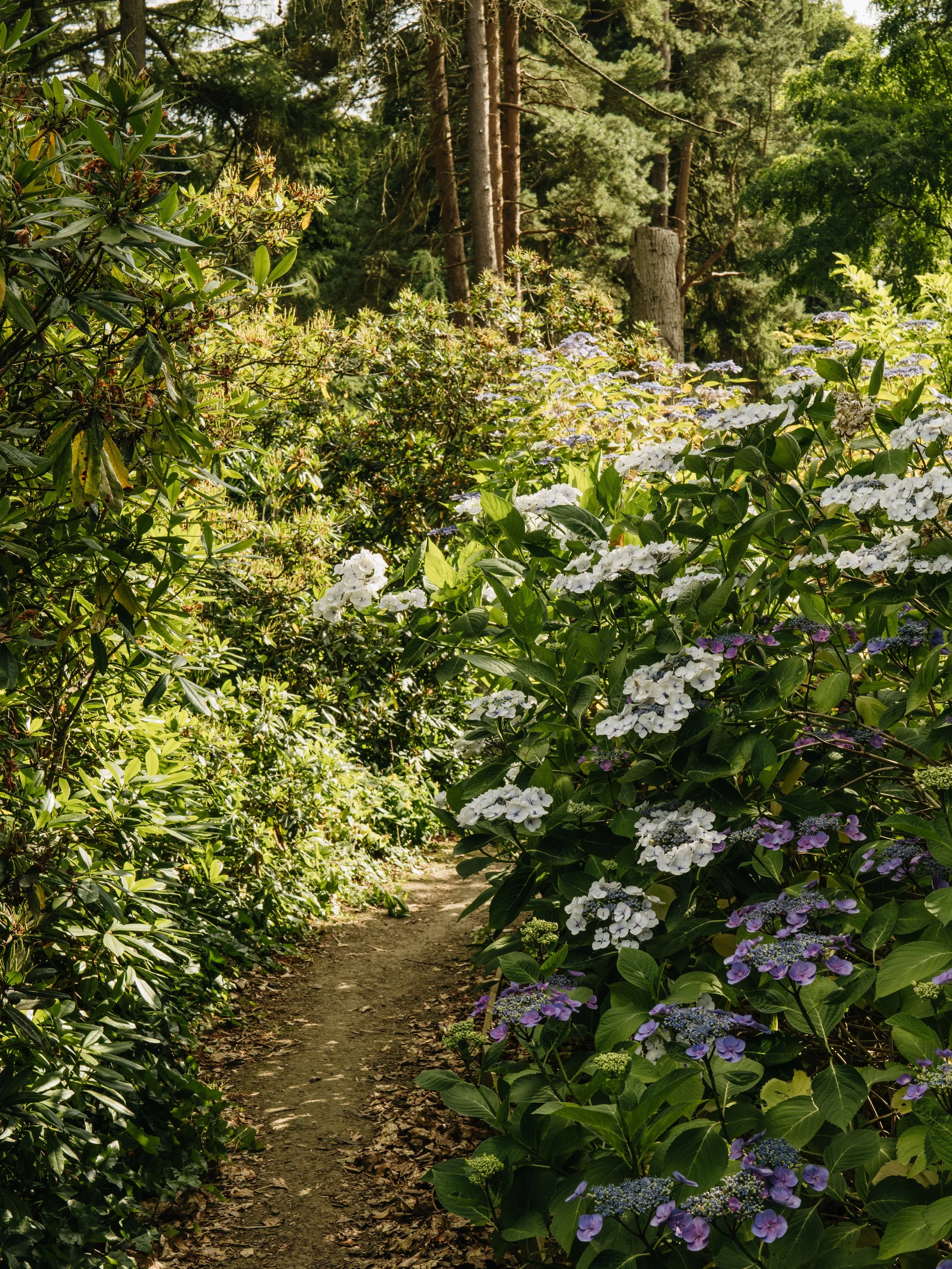Botanical-44.jpg