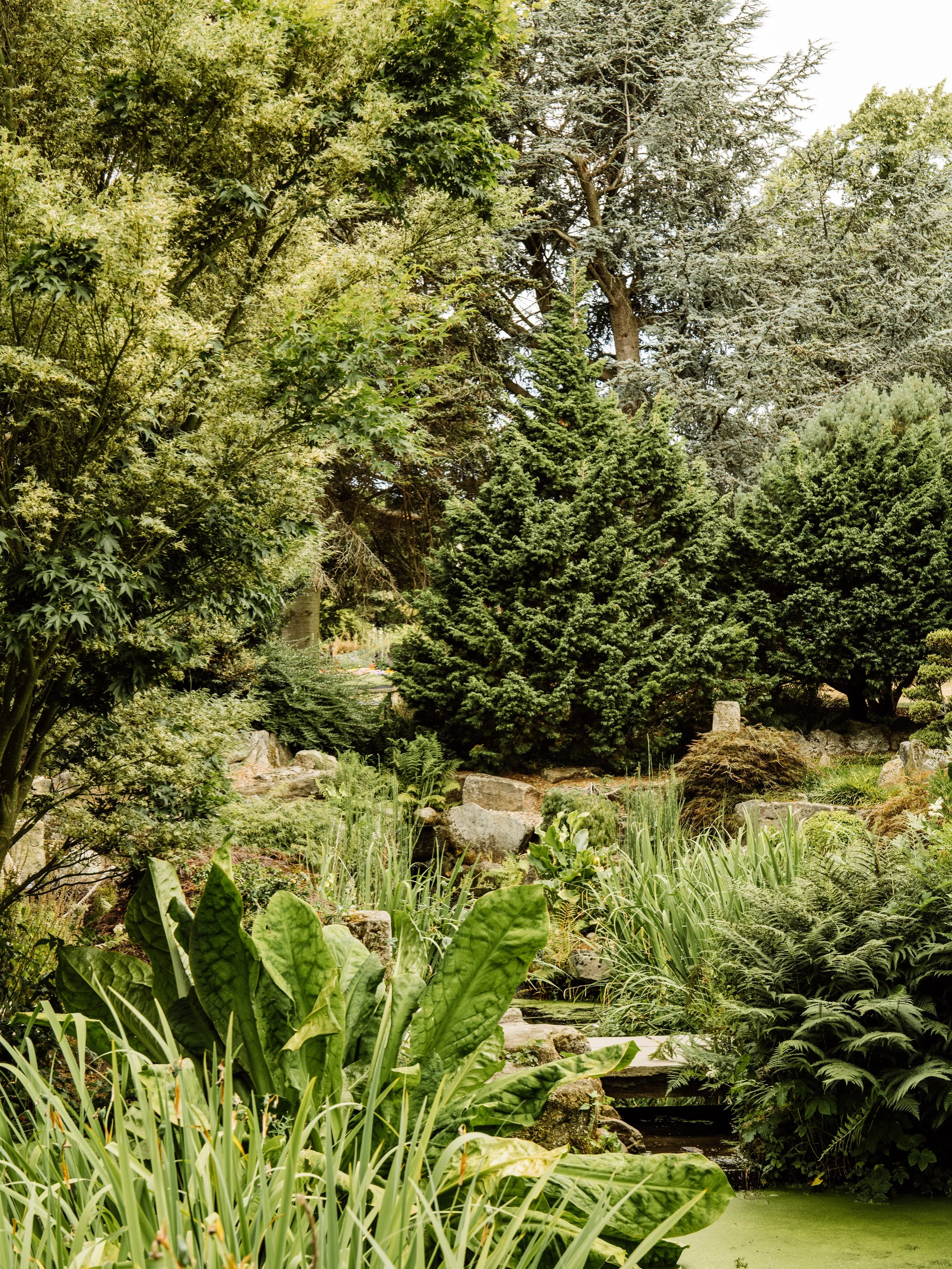 Botanical-35.jpg