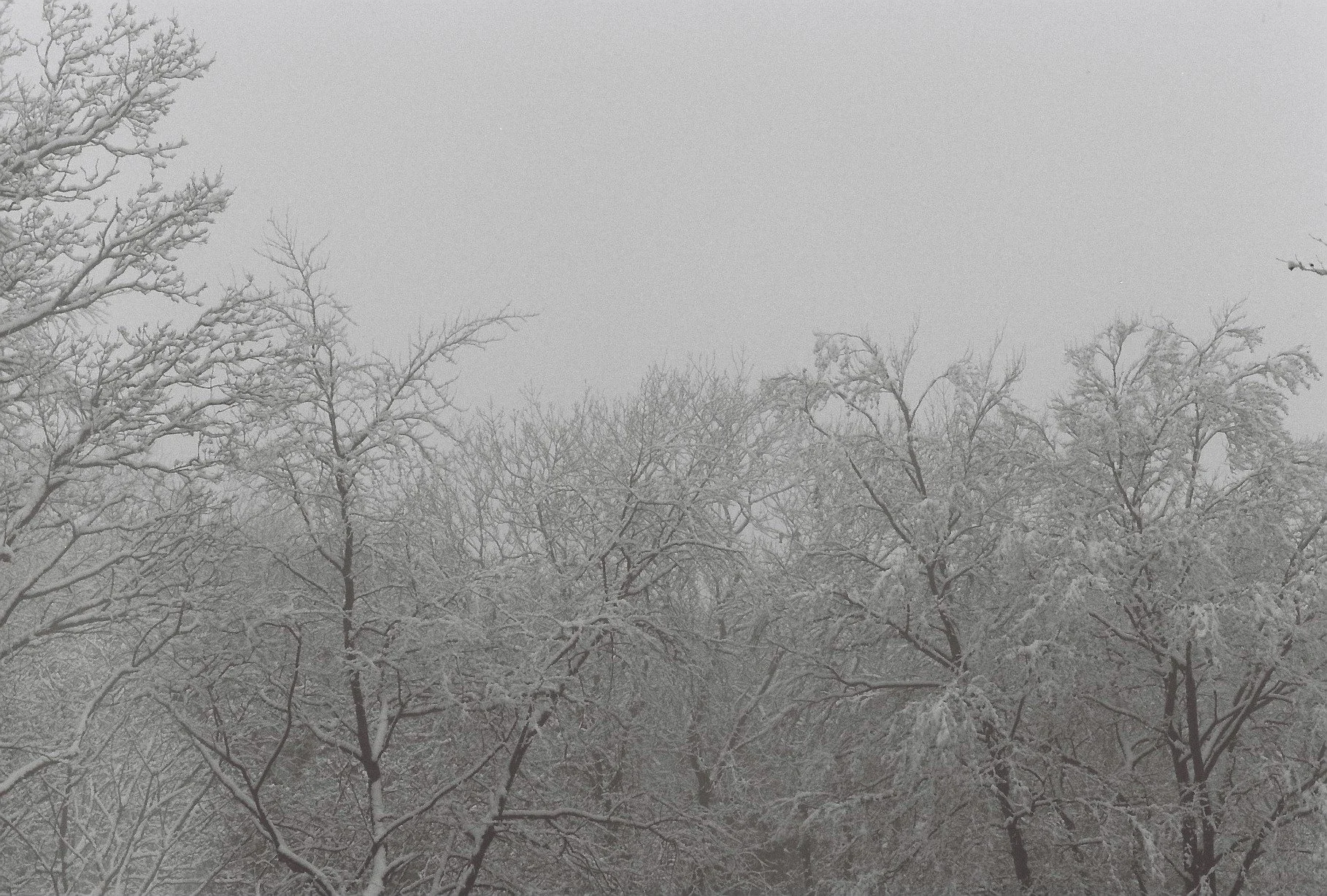 10720_001-014.JPG