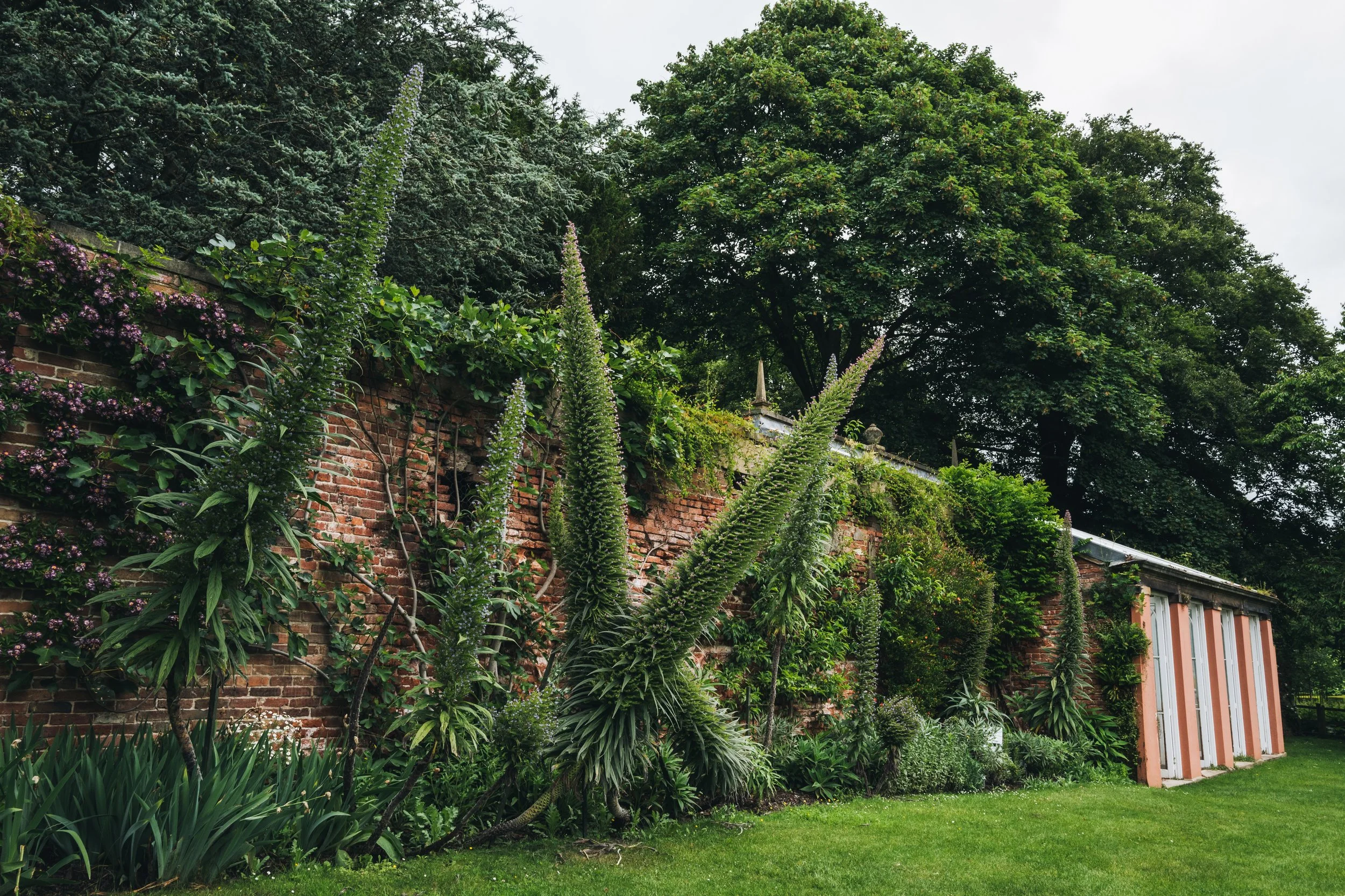 Renishaw Gardens 2-67.jpg