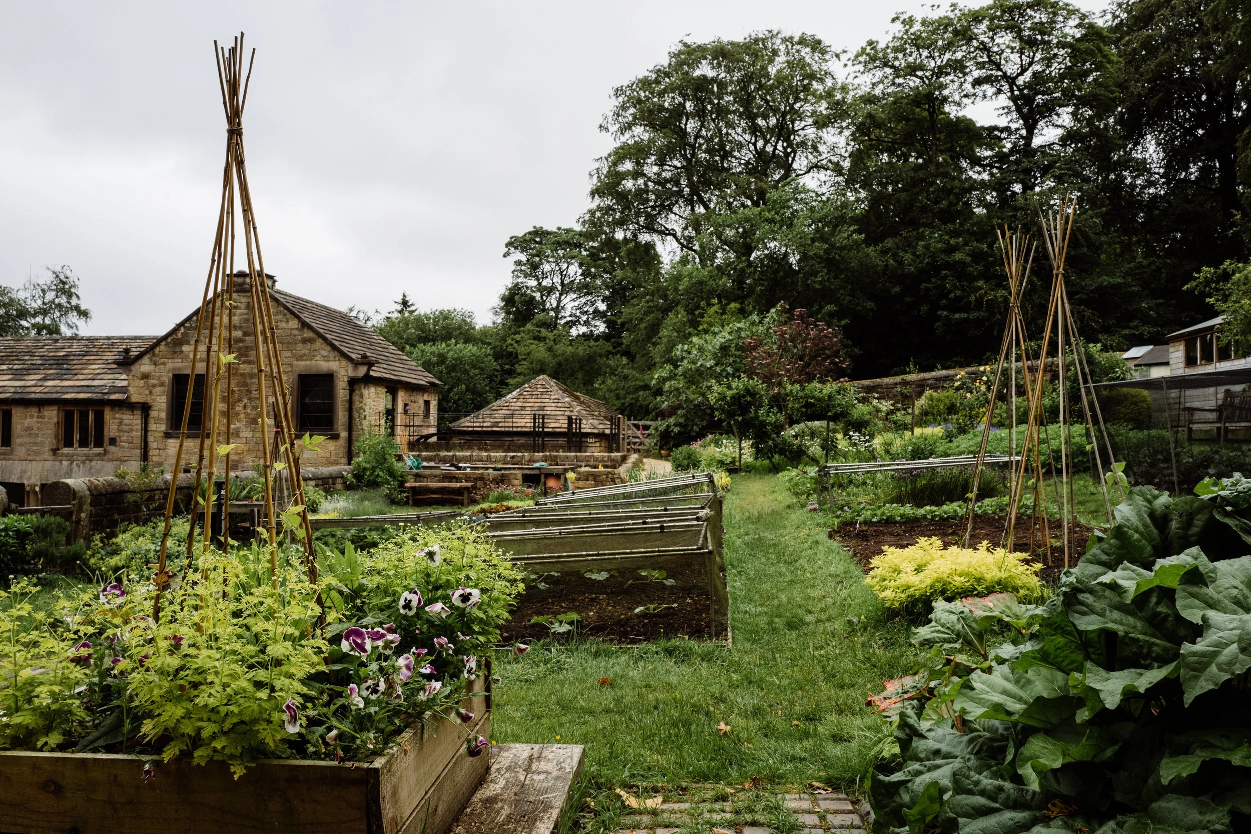 Longshaw-66.jpg