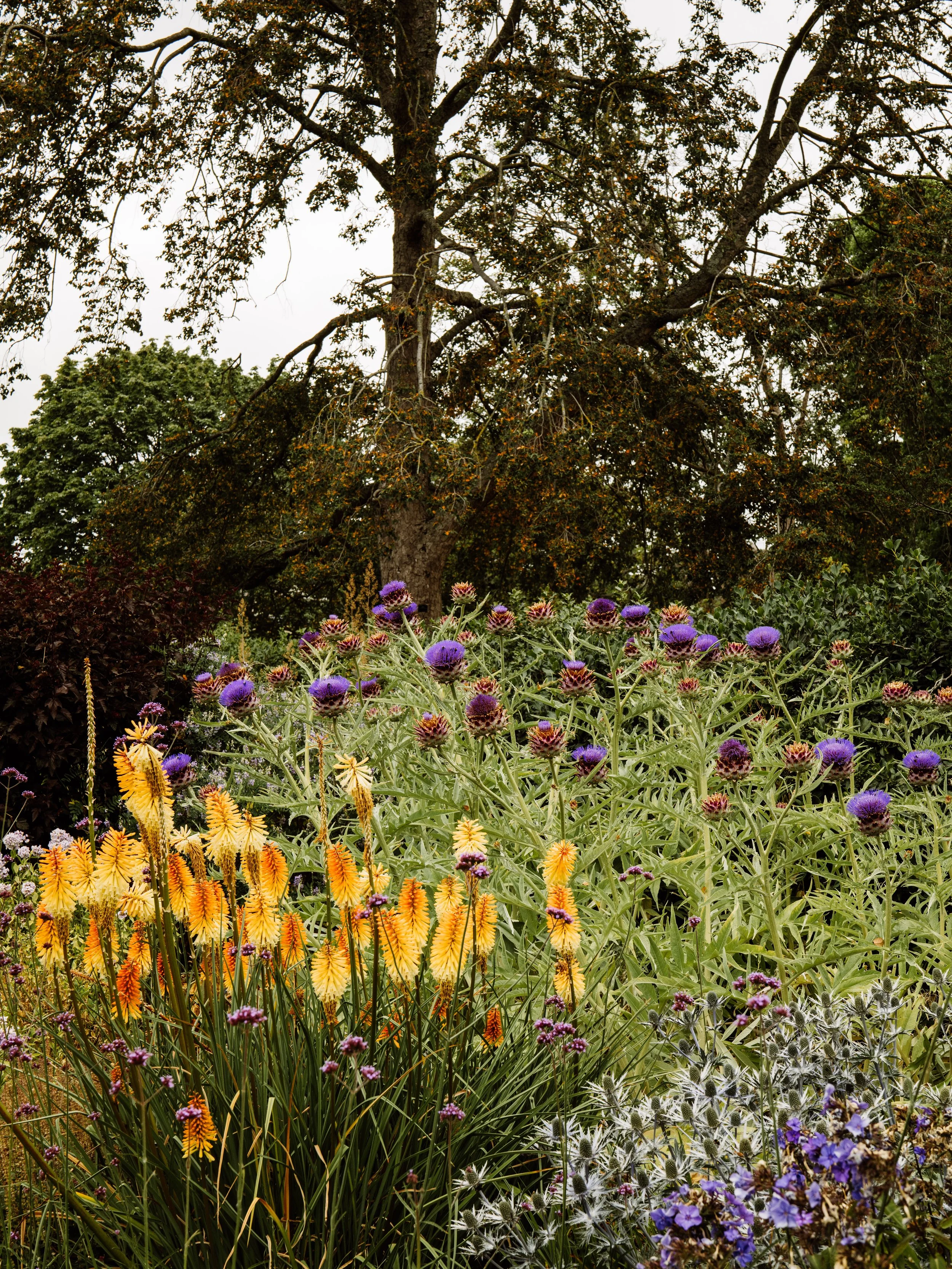 Botanical-3.jpg